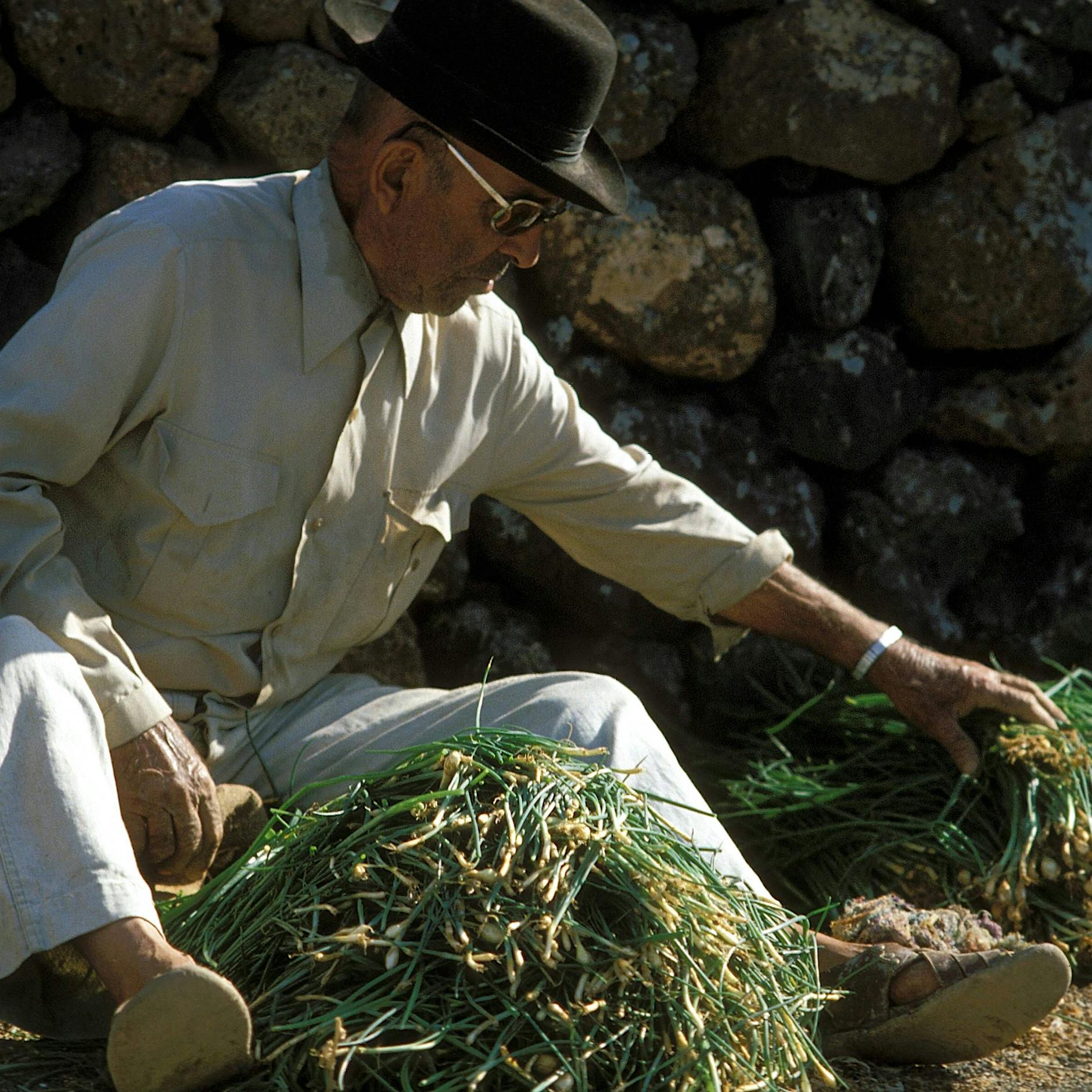 Schnittlauch oder Bärlauch: Im März ist es Zeit für Röstzwiebeln und Flammkuchen