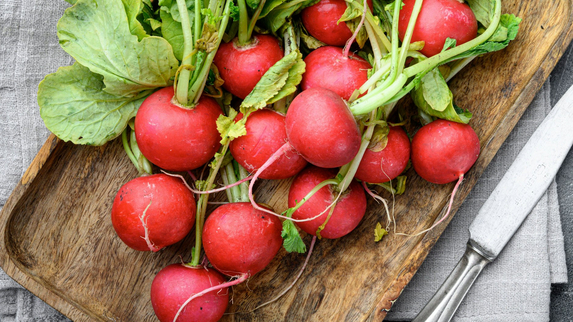 Radieschen scheinen unspektakulär, doch sie sind verdammt gesund.