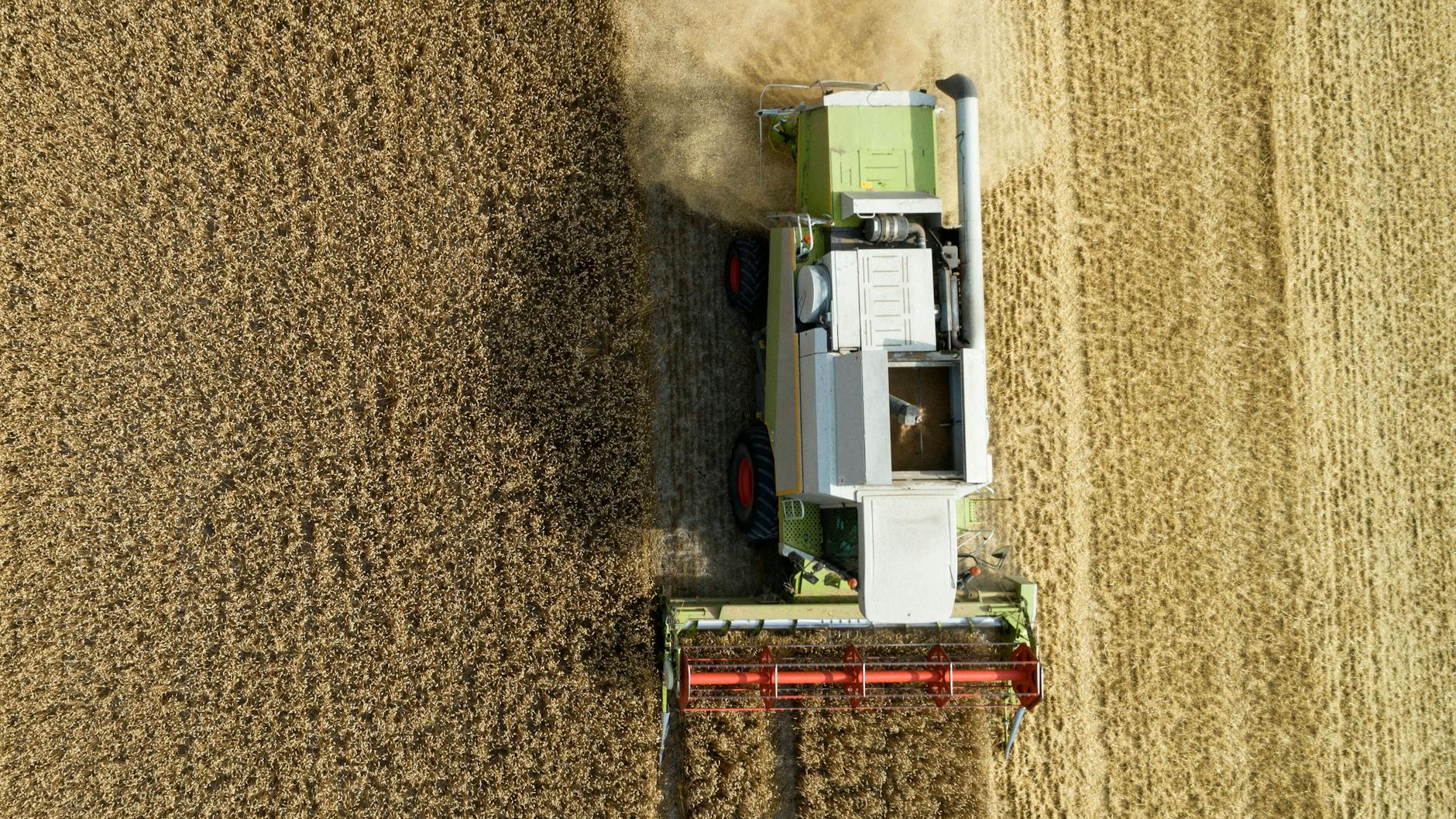 Die Ukraine ist ein wichtiger Produzent von Getreide. Wegen des Kriegs drohen aber Versorgungsengpässe (Symbolbild).
