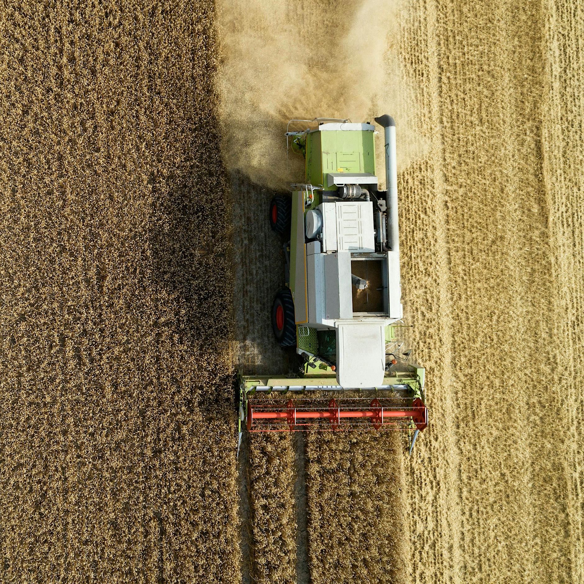 Bauernverband warnt vor Ausfall von Getreide-Lieferungen