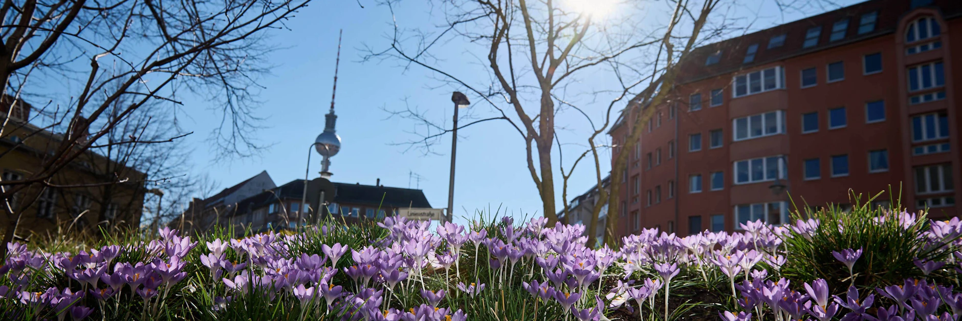 Der Frühling küsst Berlin - und das schon seit einigen Tagen. Aber: Wie wird das Wetter am Wochenende?