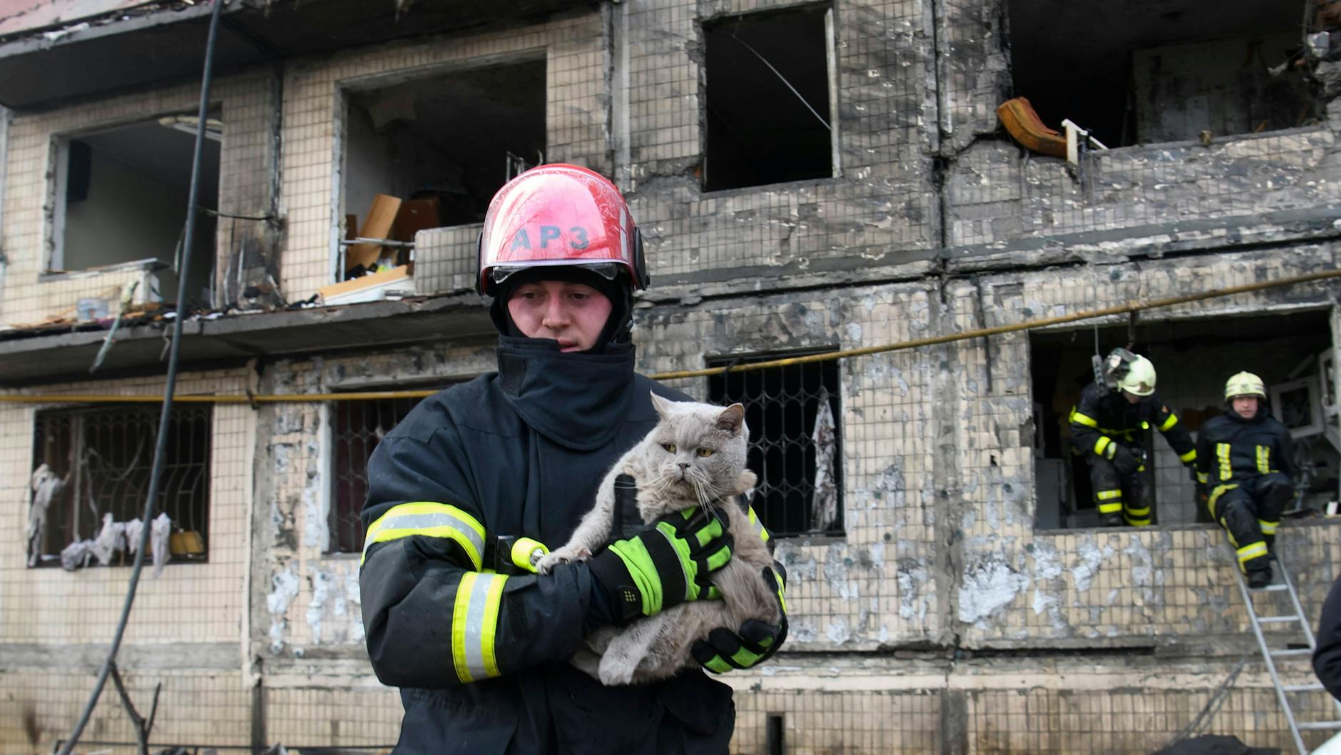 Ein Feuerwehrmann hat eine Katze aus einem zerschossenen Haus in Kiew geholt, seine Kameraden klettern aus der ausgebrannten Ruine.