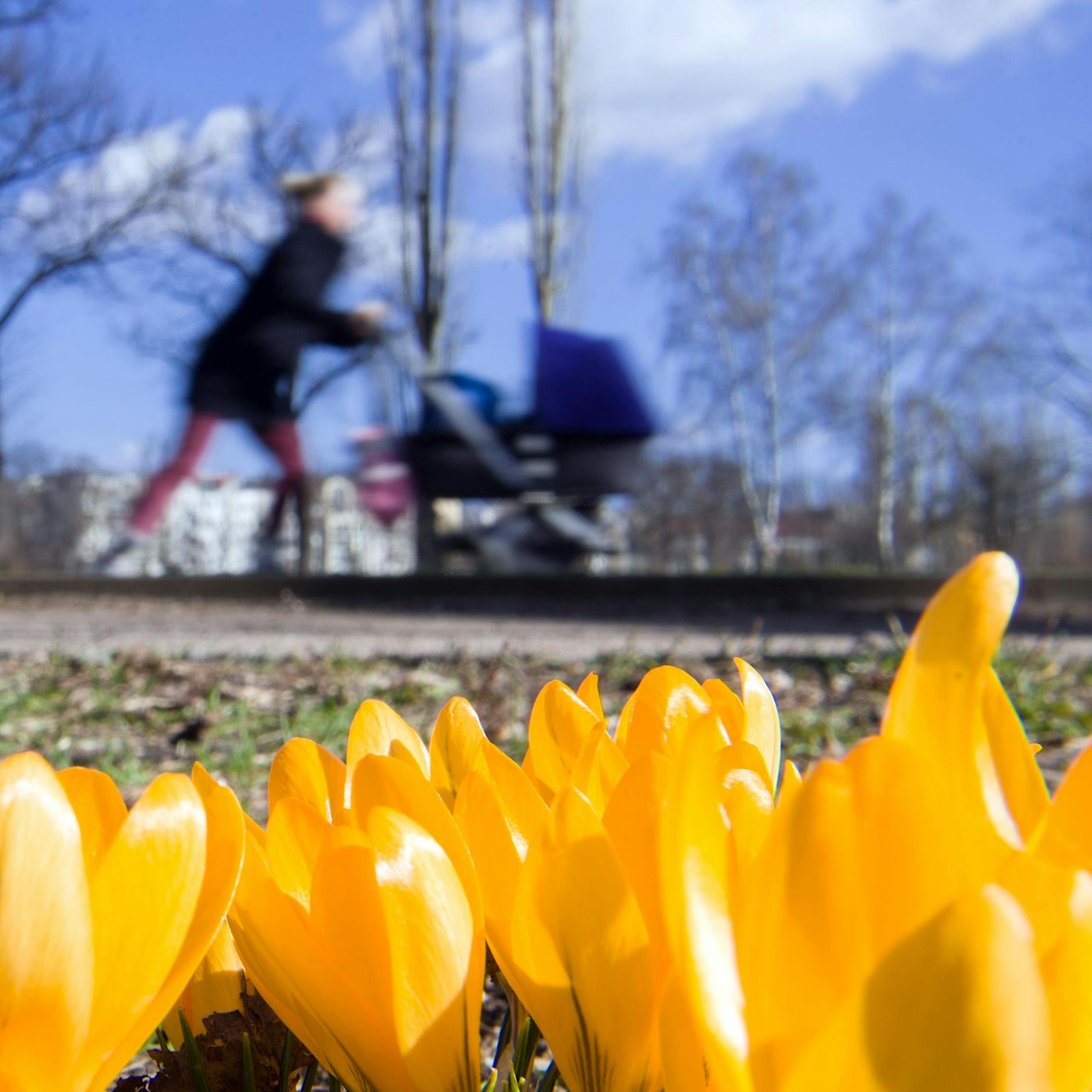 Eine ganz neue Jahreszeit: der Winter-Sommer