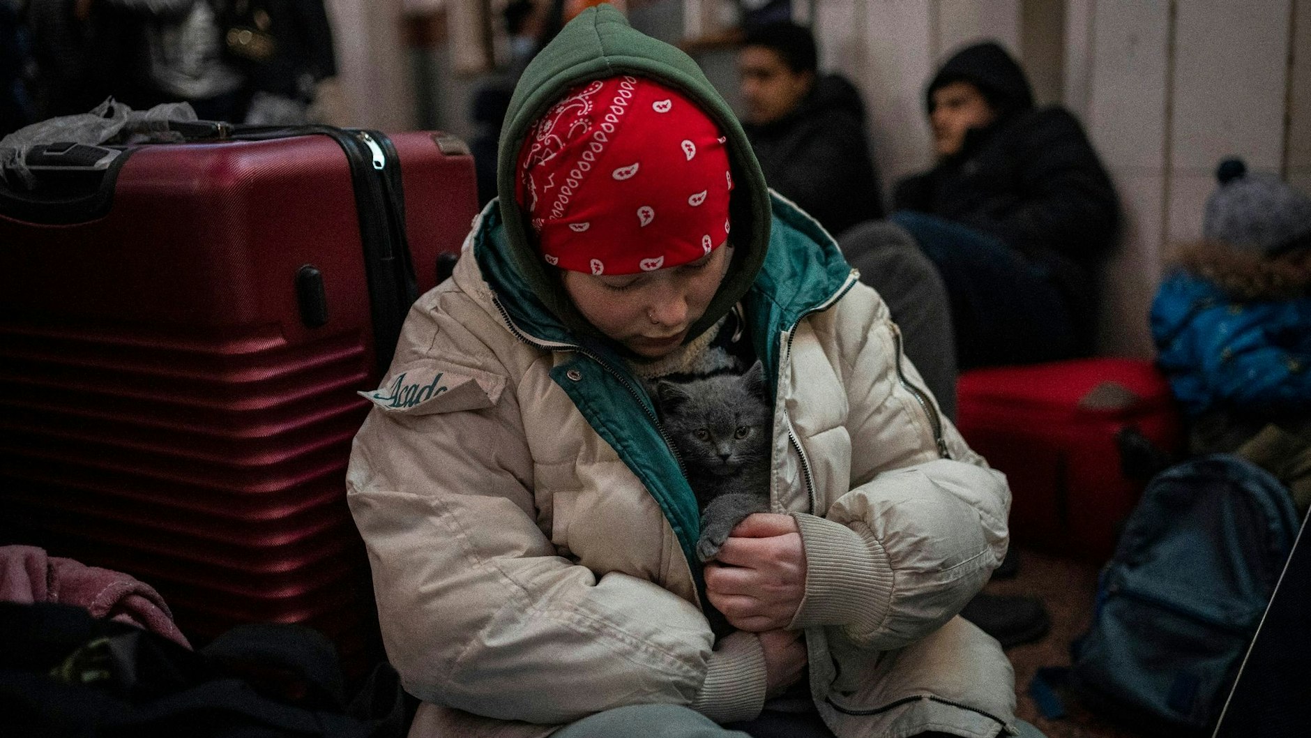 Katze als Trost in der Fremde: Jüngst hatte Polen angekündigt, auch von Ukrainern bei der Flucht mitgenommene Haustiere ohne Papiere ins Land zu lassen.