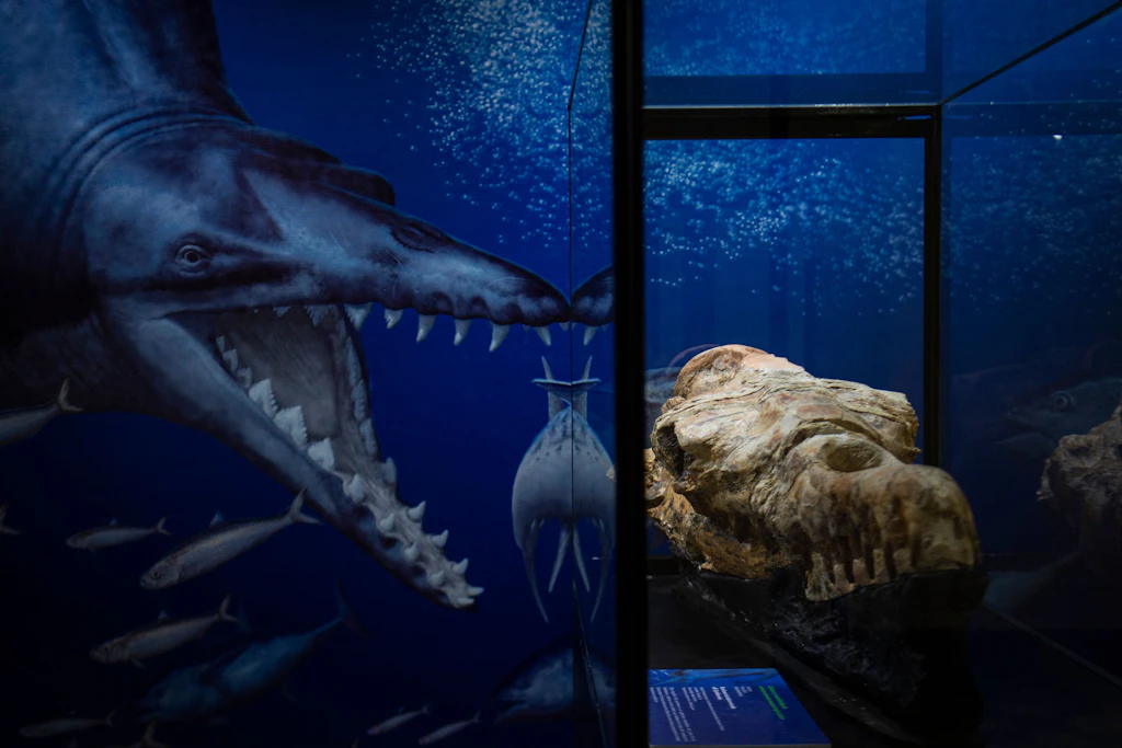 Peru: 36 Millionen Jahre altes Walfossil in Wüste entdeckt