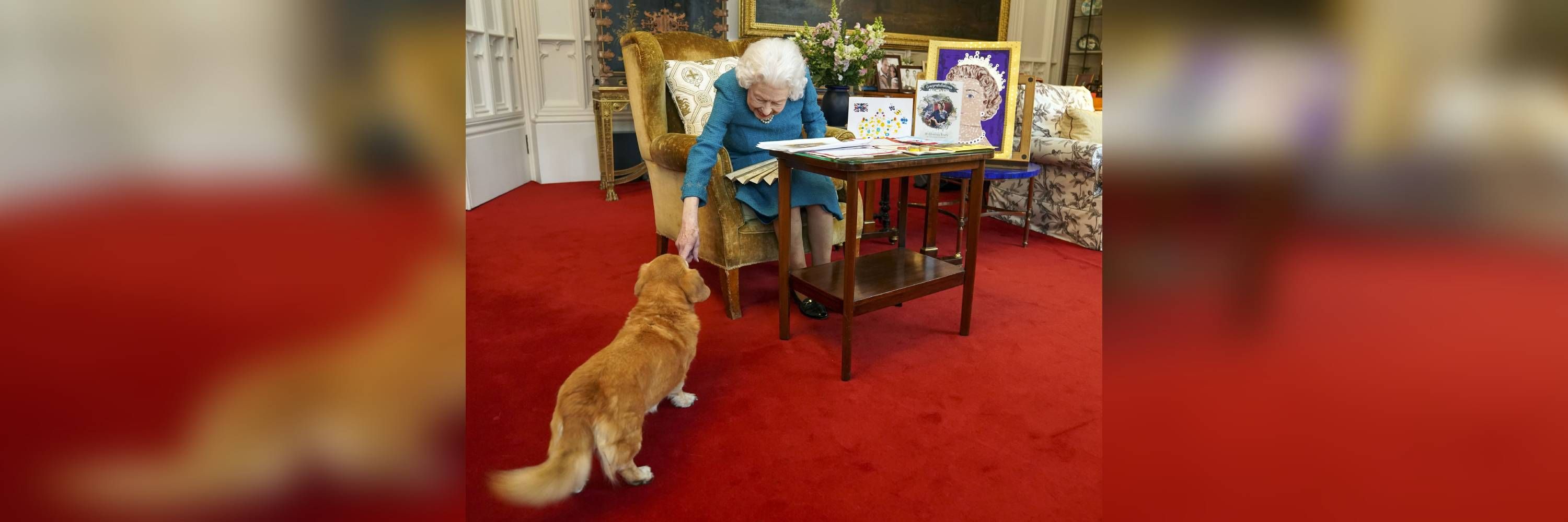 Image - Beim Besuch bei der Queen: Spitzenpolitiker isst einen Hundekeks von Elizabeths Corgis!