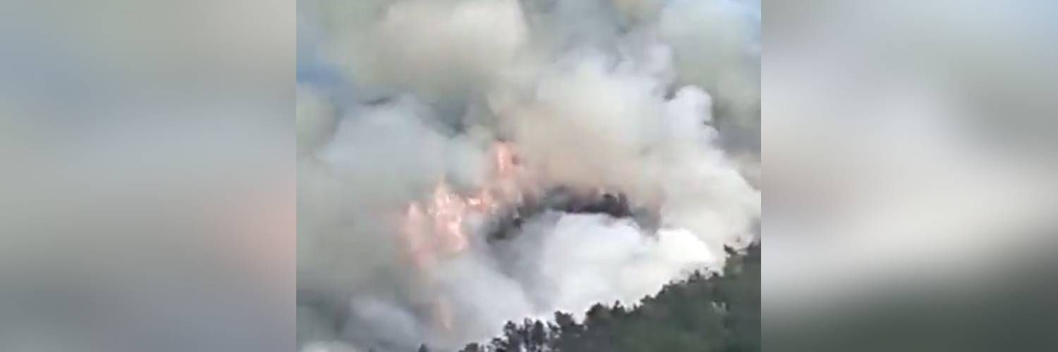 Flugzeug-Unglück in China: Flug MU5735 mit 132 Menschen an Bord abgestürzt!