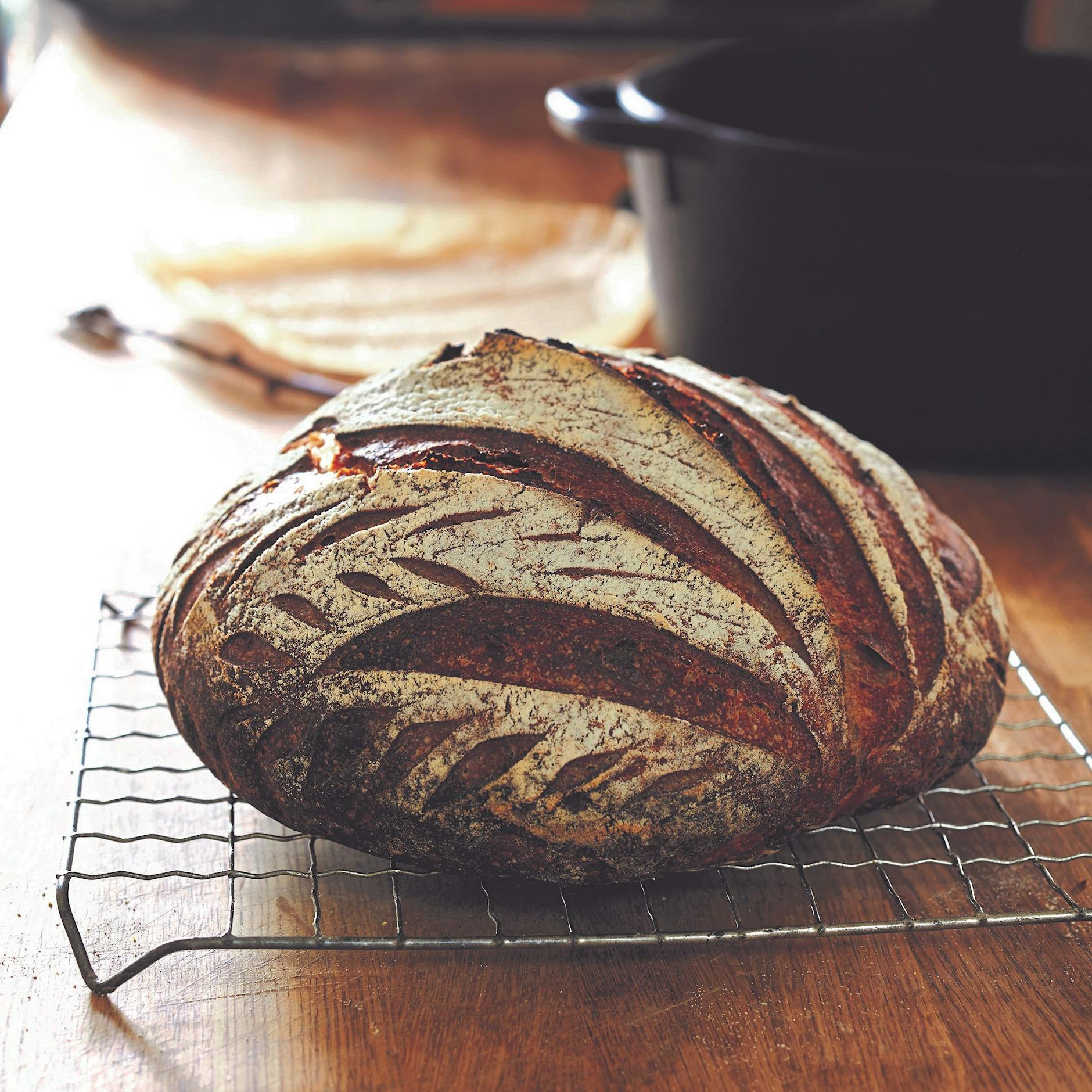 Das Geheimnis für perfektes Brot: Dieser Sauerteig-Starter sorgt für milden Geschmack – dank wilder Hefe!