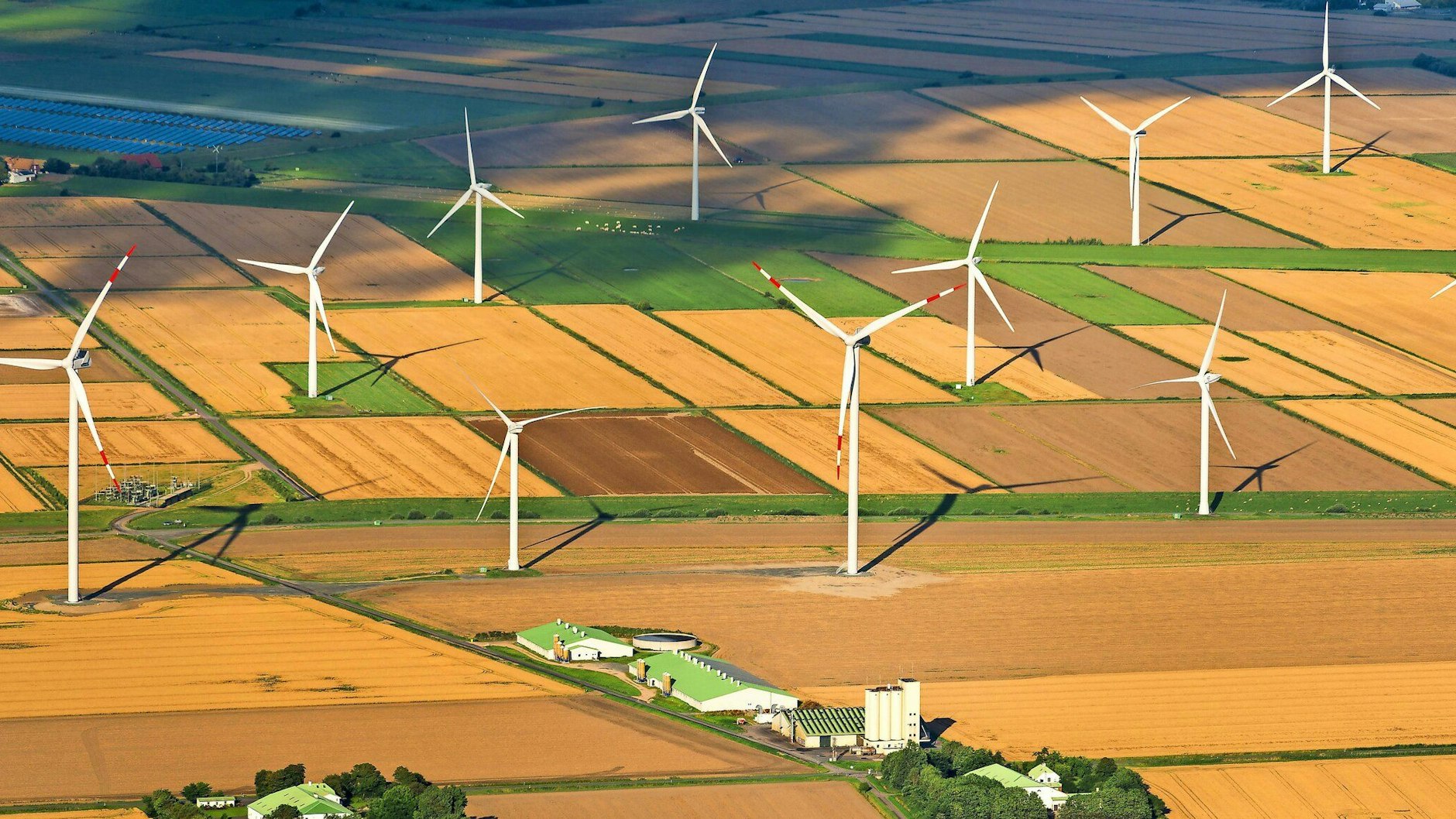 Windräder in Schleswig-Holstein