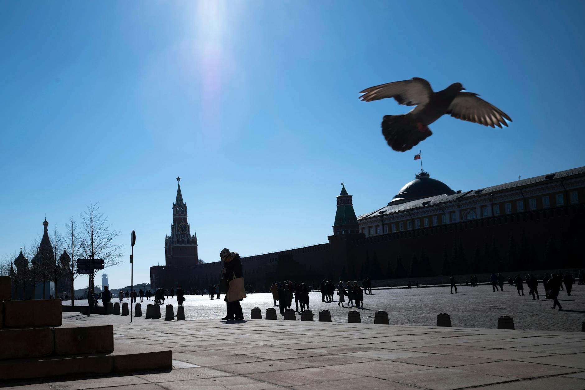 Eine Taube am Roten Platz in Moskau.