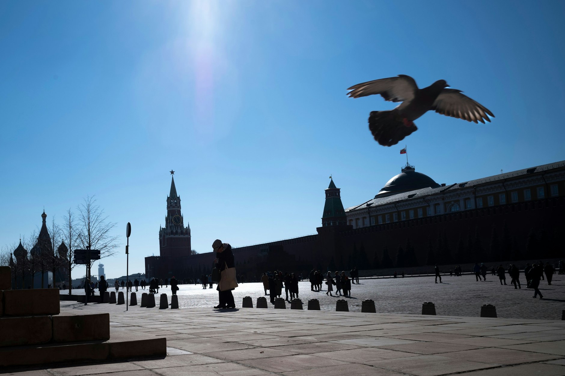 Eine Taube am Roten Platz in Moskau.