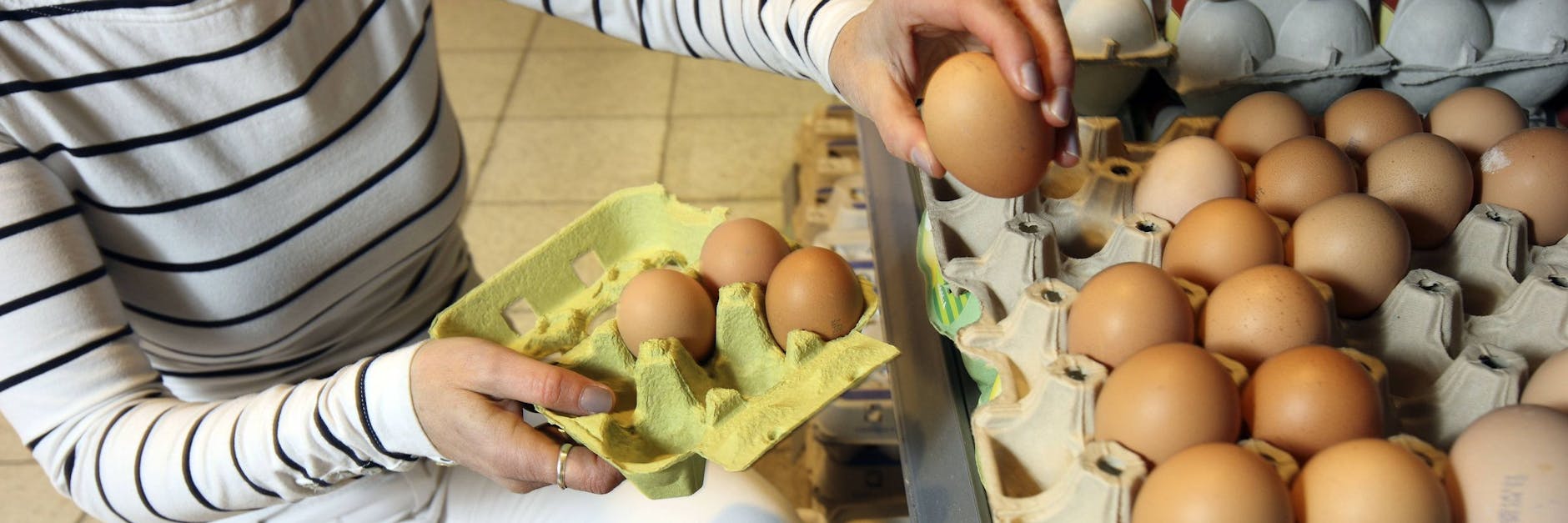 Hühnereier werden rar, schuld daran ist die Futtermittelknappheit.