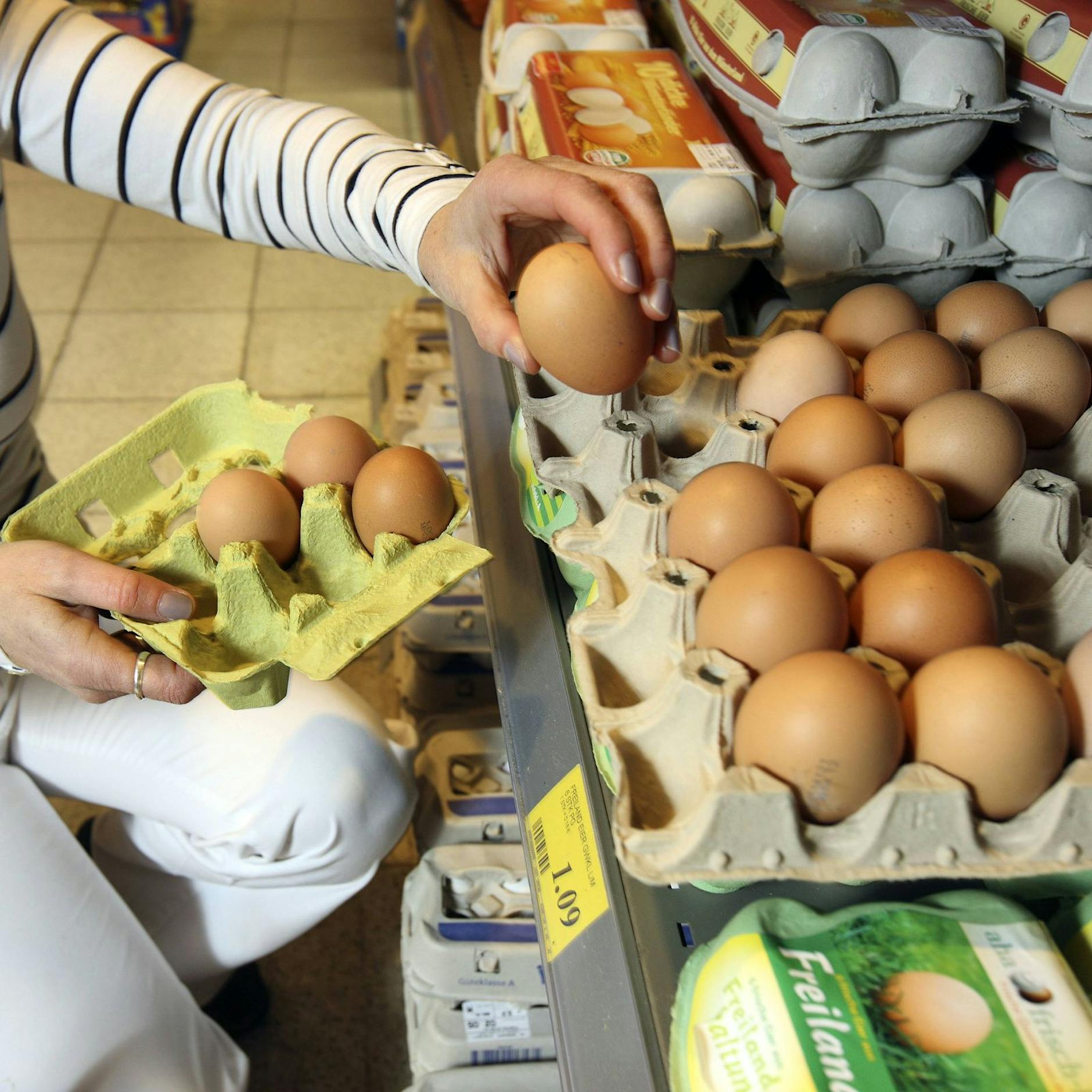 Experten schlagen Alarm: Wegen Ukraine-Krieg – Eier werden knapp! Haben wir Ostern noch genügend Ostereier?