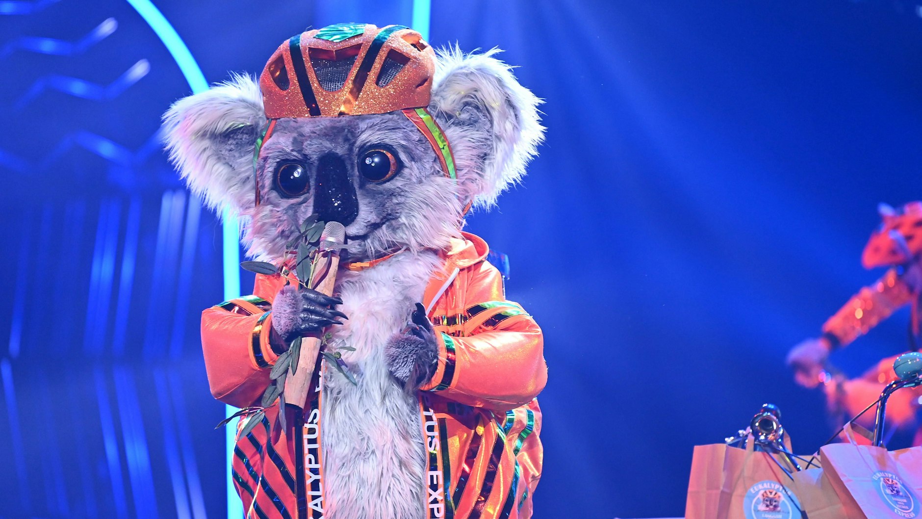 Auch dieser Koala tritt in der sechsten Staffel von „The Masked Singer“ auf - im Kostüm steckt angeblich Komiker Helge Schneider.