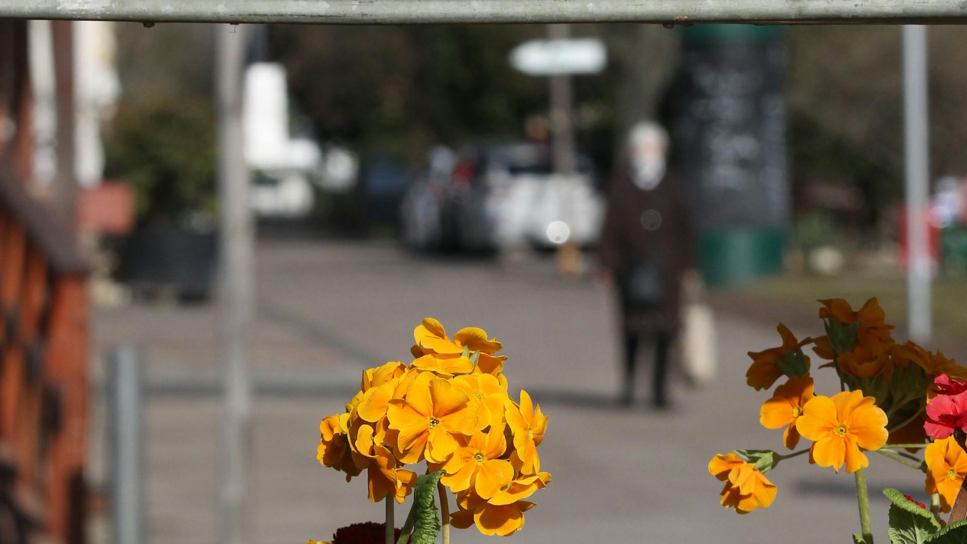Kräutertage in den Späth'schen Baumschulen läuten die Gartensaison sein.