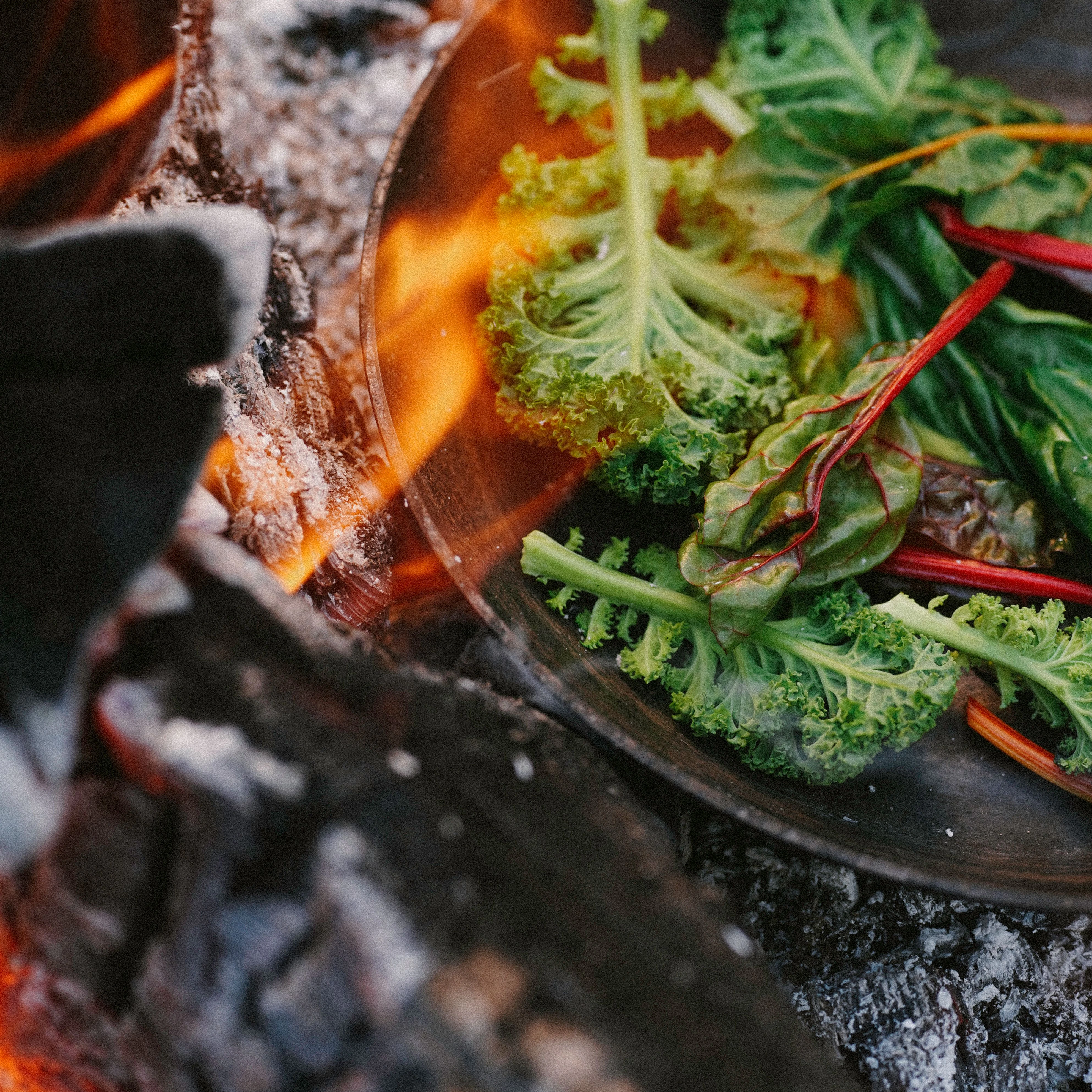 So kannte Oma ihren Grünkohl sicherlich nicht: Als köstlich-gesundes Grillgut macht sich das Gemüse zusammen mit Mangold auf dem Feuer ganz vortrefflich.