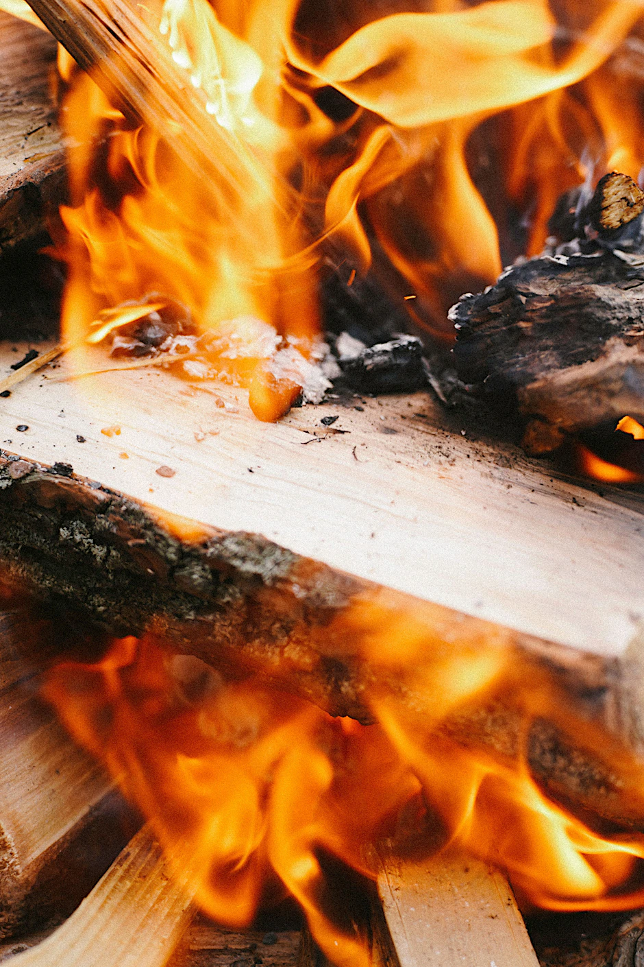 Eine ganz besondere Hitze: Das Holzfeuer, auf dem das Ember-Team seine Speisen zubereitet.