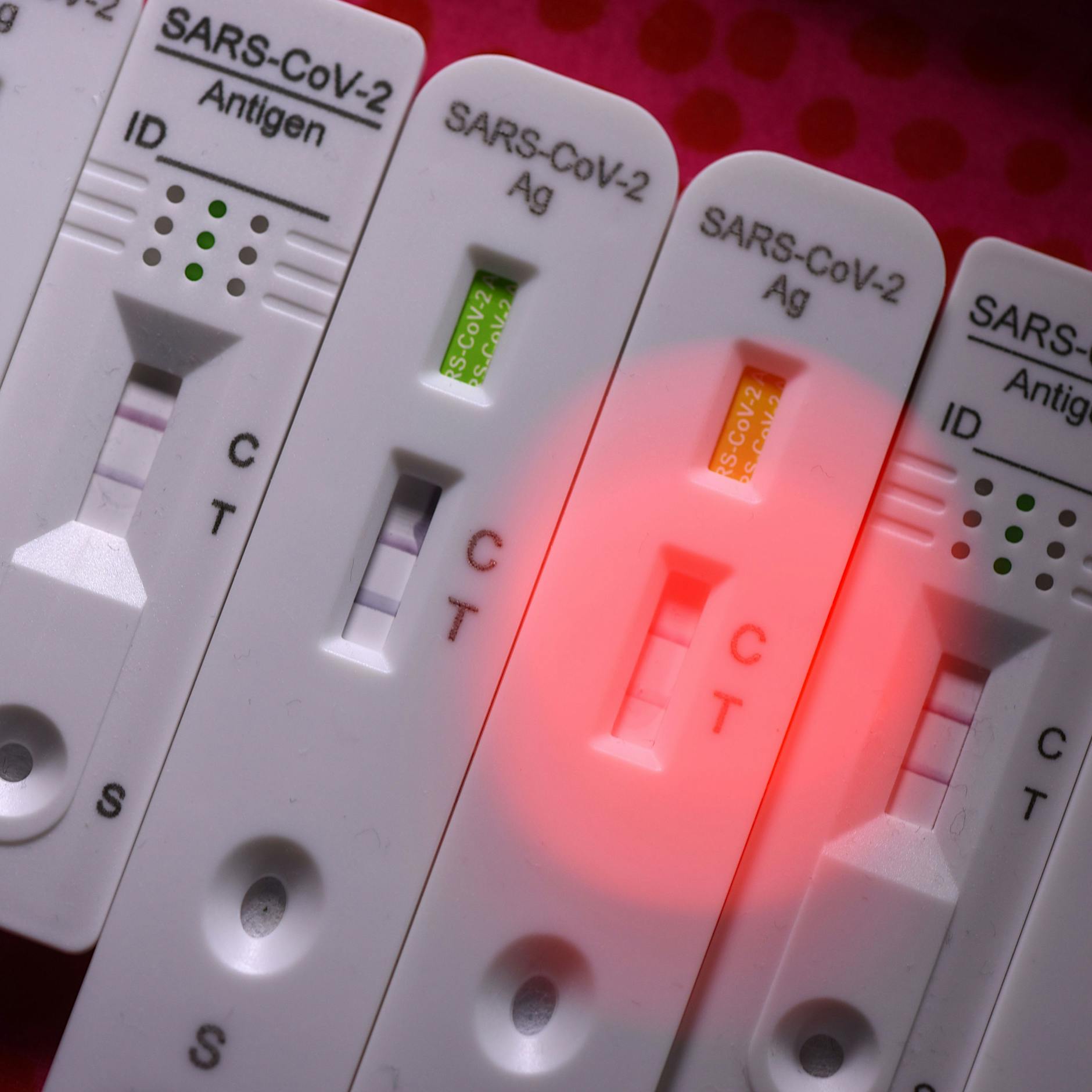 Corona: Diese Tests vom Discounter erkennen Omikron am zuverlässigsten