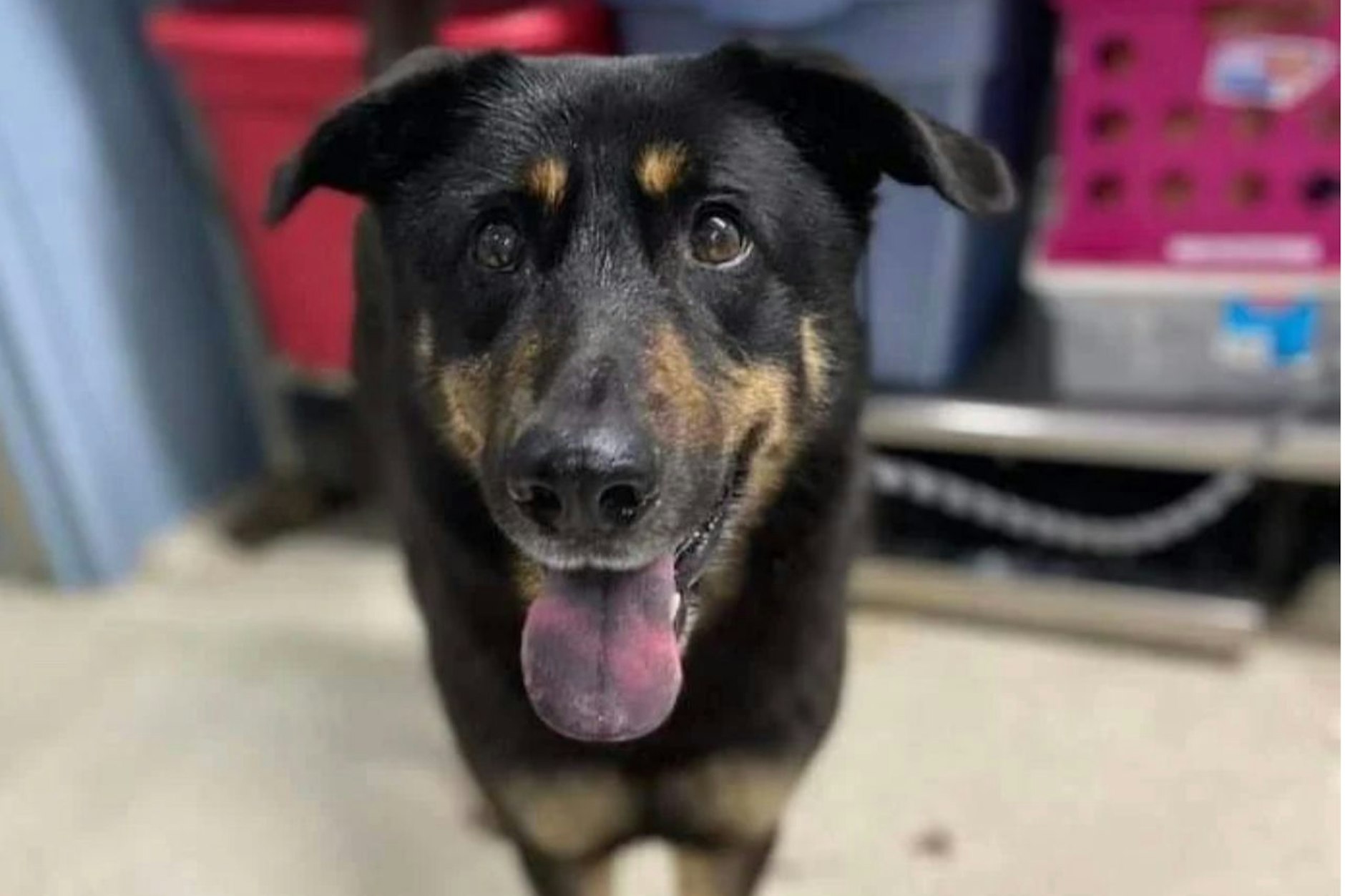 Neuer Name und neues Leben: Oscar