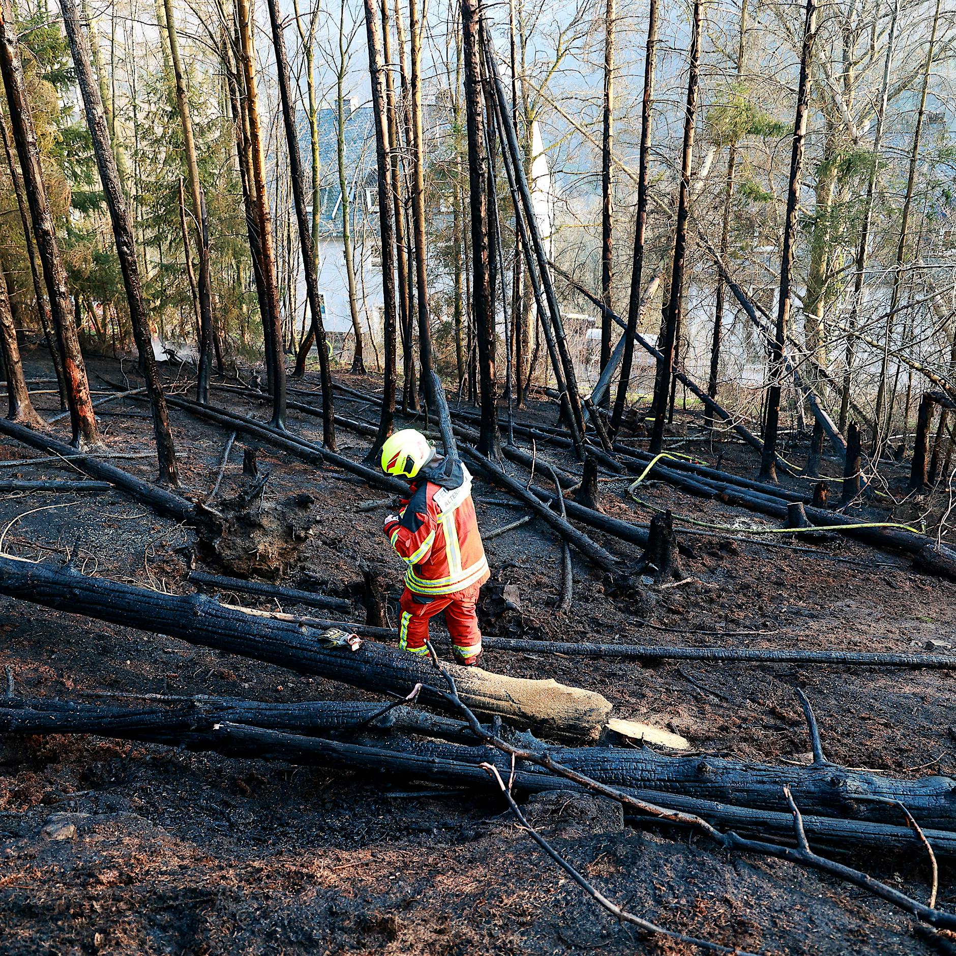 Kind spielt mit Streichhölzern: 5000 Quadratmeter Wald abgebrannt