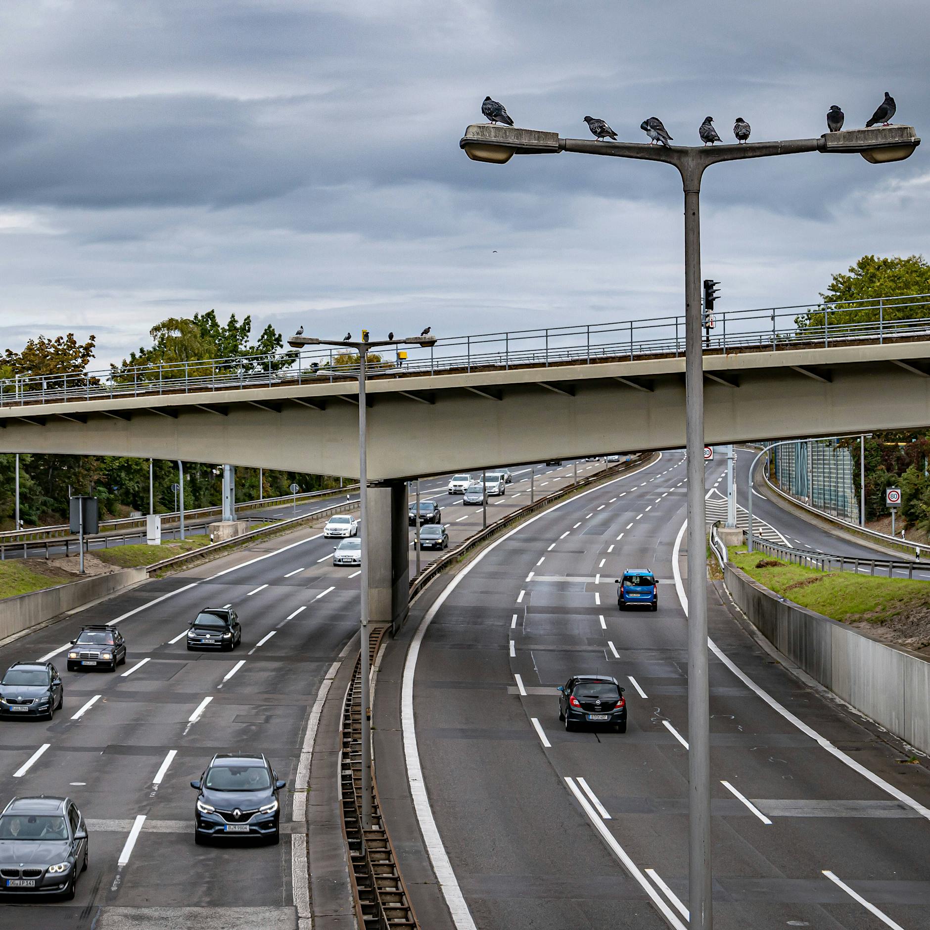 Berlin-Tegel: 25-Jähriger will Handstand auf Autobahnbrücke machen und stürzt in die Tiefe