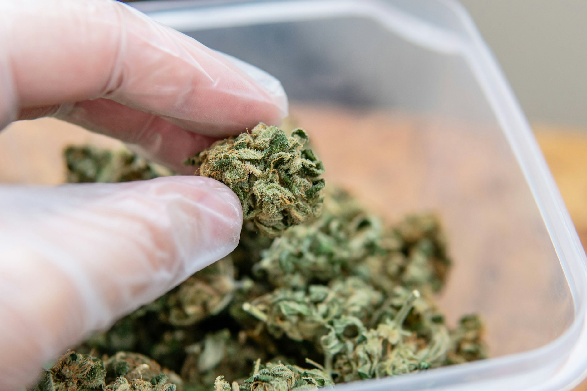 Wann die Cannabis-Legalisierung in Deutschland kommt ist noch immer unklar. Gesundheitsminister Lauterbach will bald neue Vorschläge vorstellen.&nbsp;