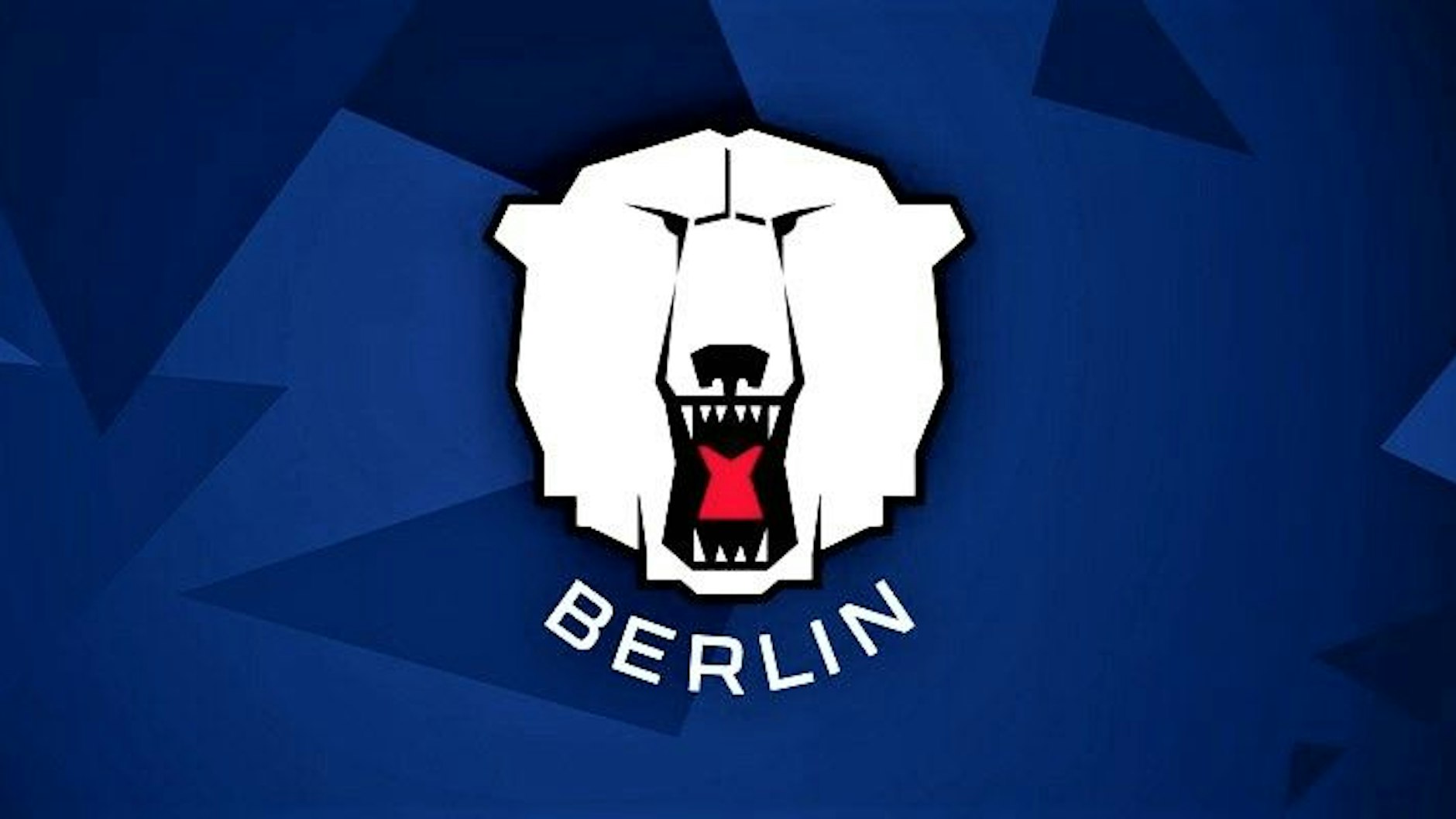 Hey, wir wollen die Eisbären sehen ... Ohhhohohohooo!
