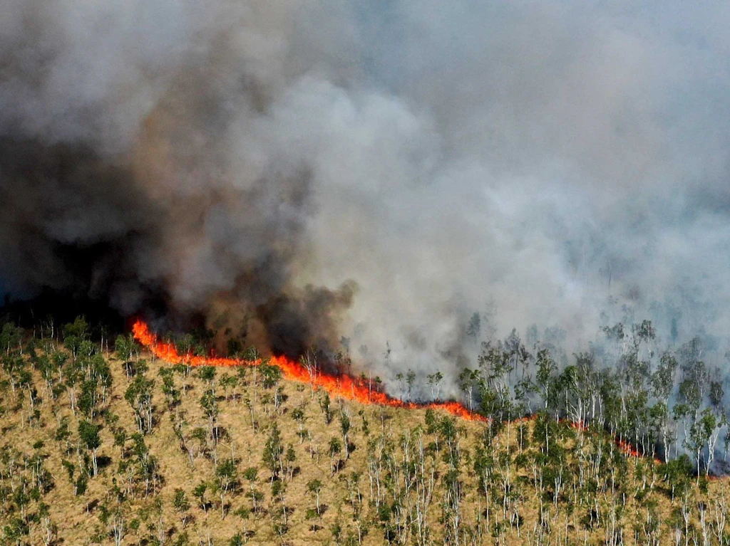 Brandenburg: Waldbrandgefahr bleibt hoch