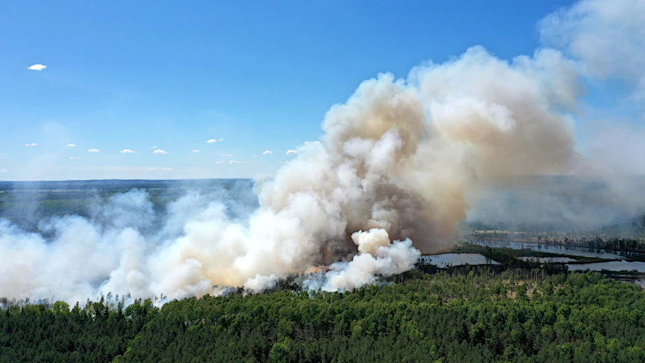 Ein Waldbrand im Loben-Moor zwischen Gorden-Staupitz, Hohenleipisch und Plessa. (Archivbild)