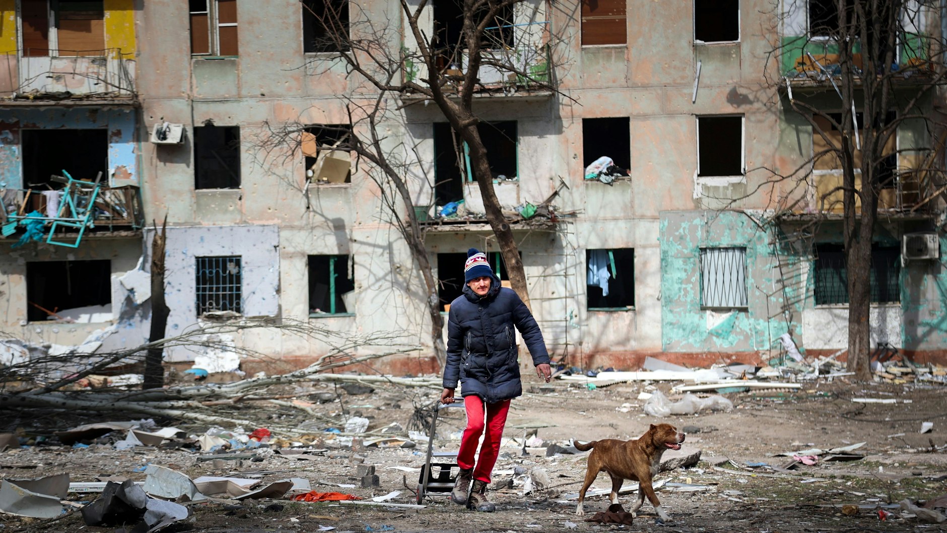 Ein Mann geht mit seinem Hund in der Nähe eines Wohnhauses entlang, das durch den Beschuss von Kämpfen am Stadtrand von Mariupol in der Ukraine beschädigt wurde. Das Gebiet steht unter der Kontrolle der separatistischen Regierung der Donezker Volksrepublik.