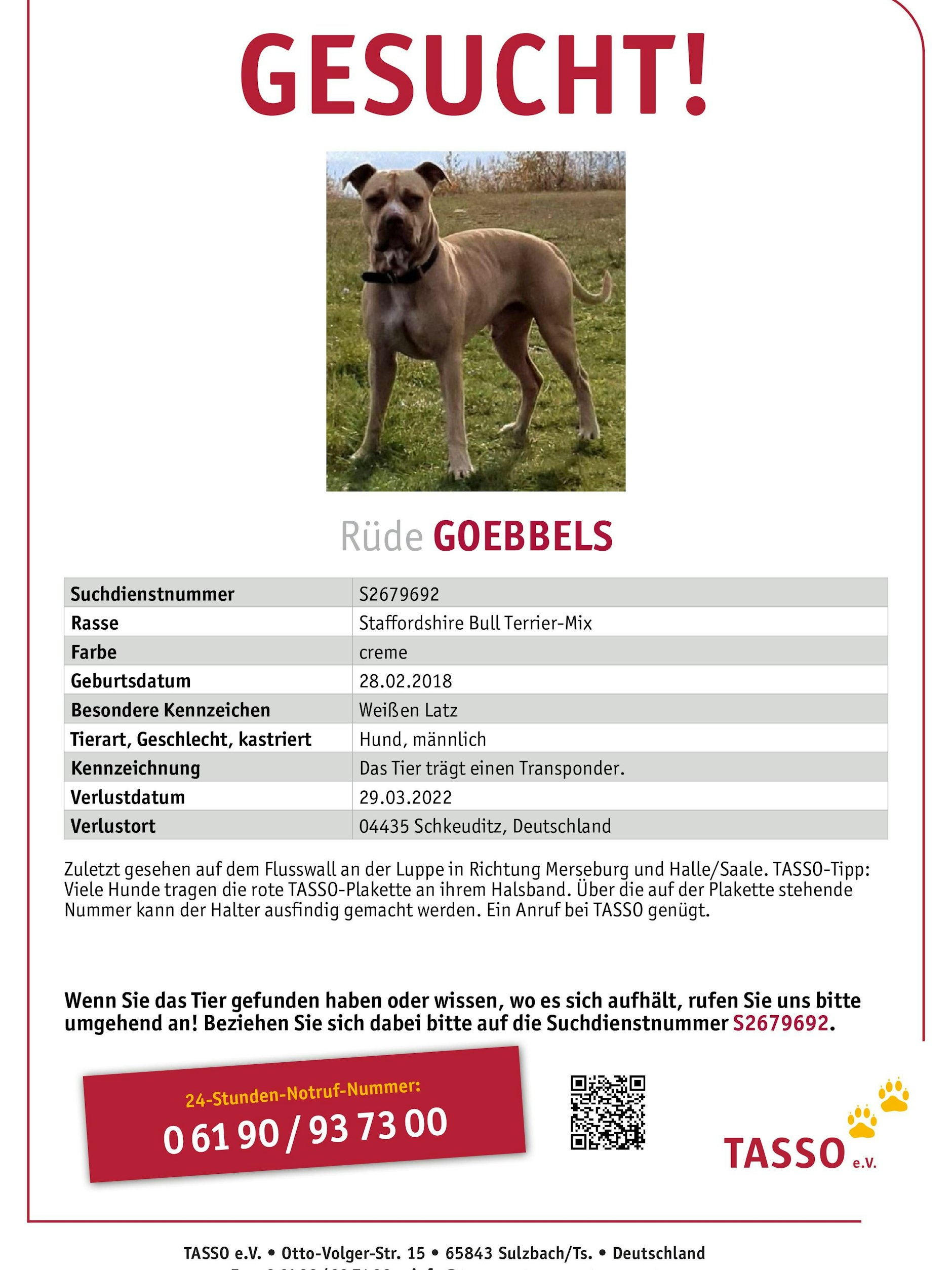 Mit diesem Suchplakat wurde nach dem Hund gefahndet.