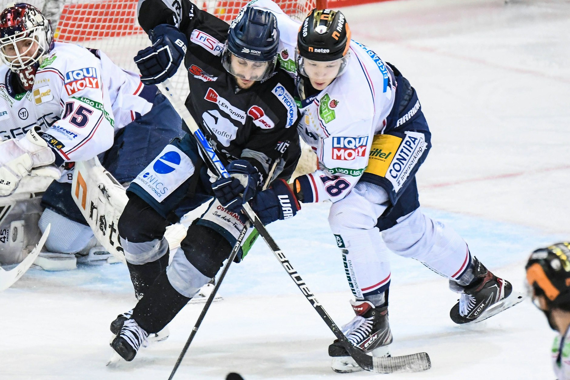 Das Bild täuscht: So zärtlich wie hier zwischen Strabings Chasen Balisy (l.) und Eisbär Jonas Müller ist es selten.
