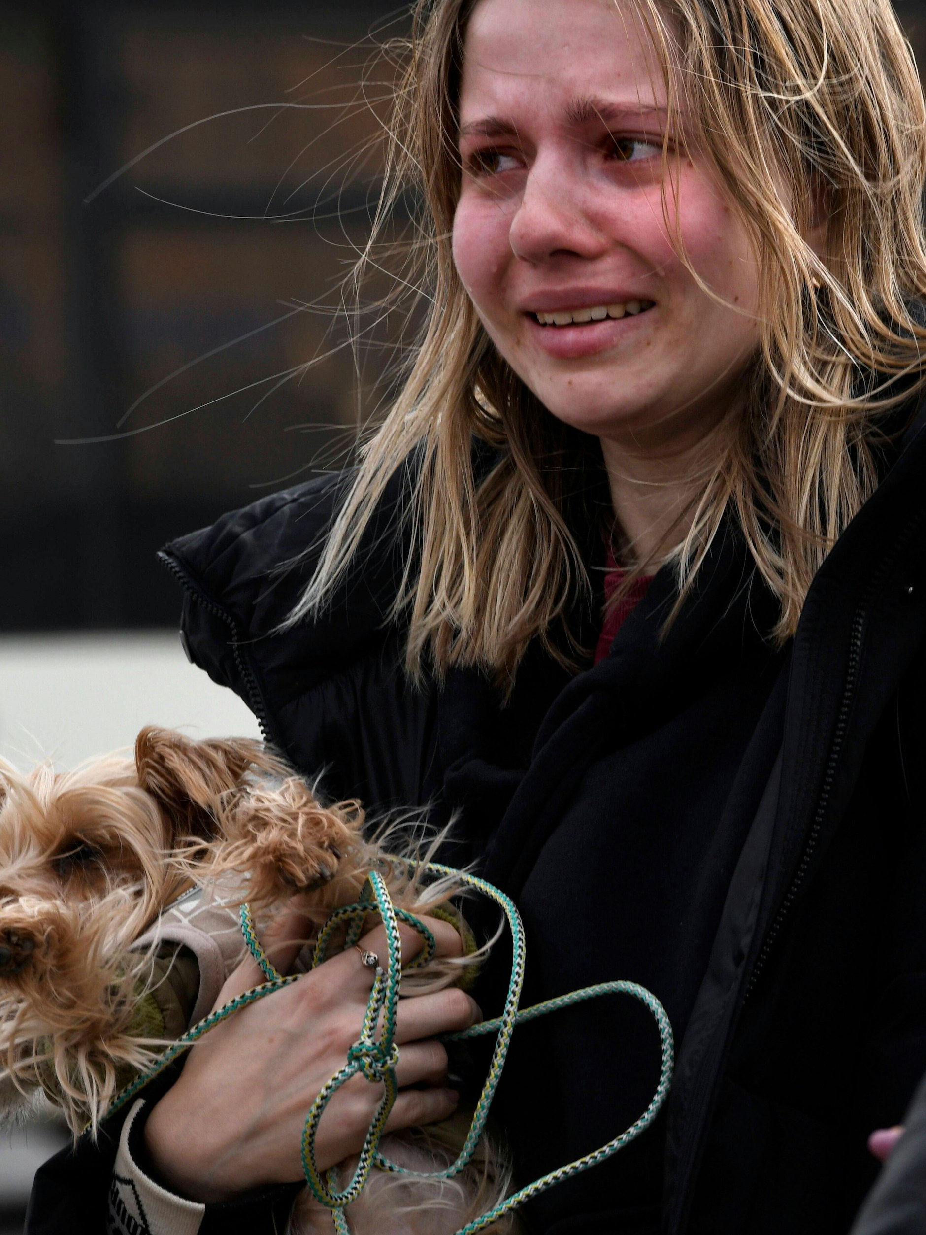 In Sicherheit flossen viele Tränen der Erleichterung.