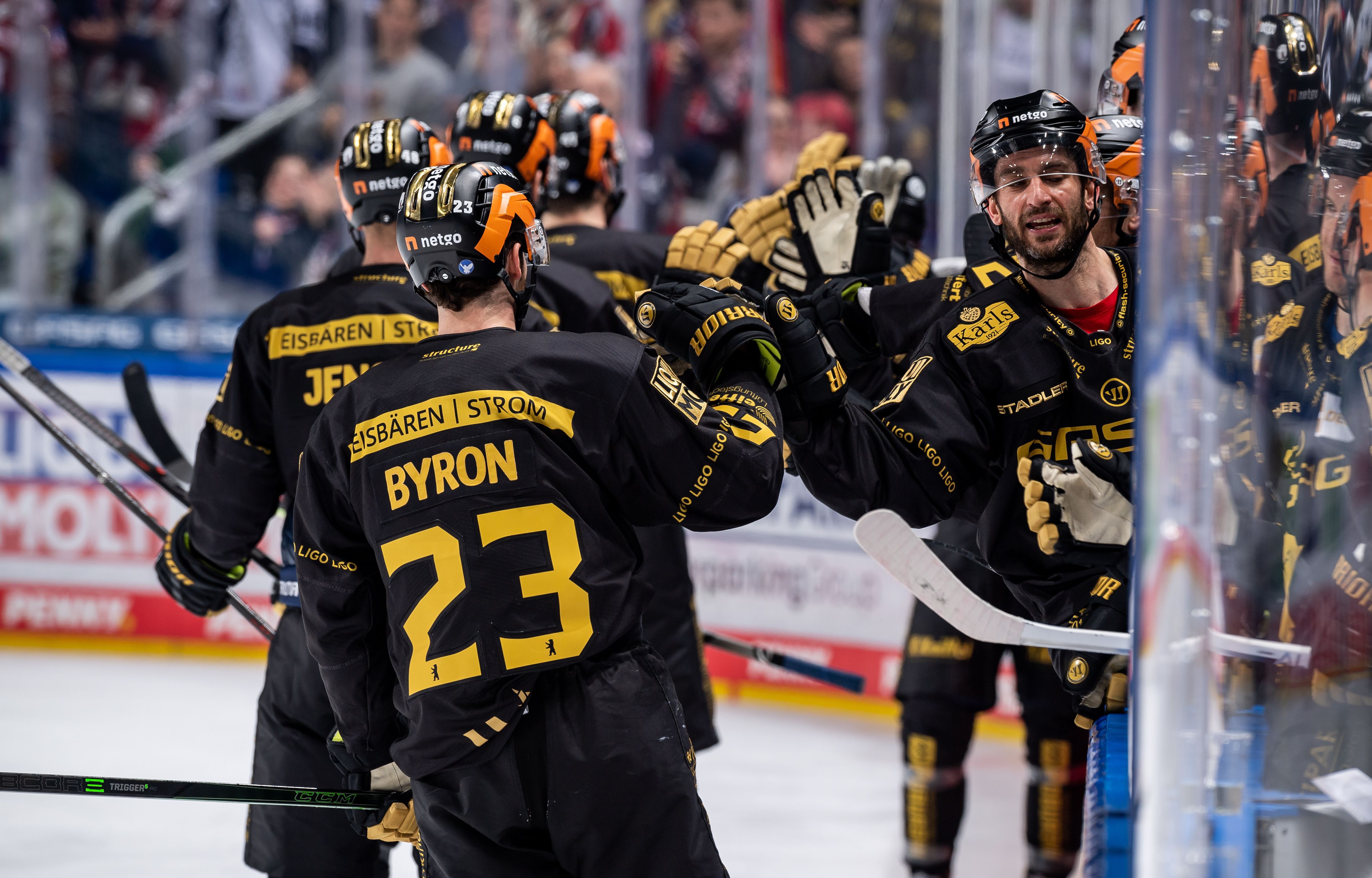 Image - Warm jubeln für die Play-offs: Eisbären sind bereit für die Titelverteidigung