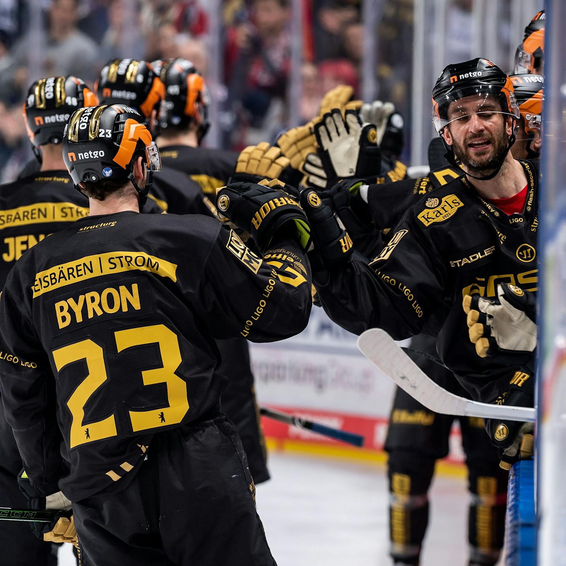 Warm jubeln für die Play-offs: Eisbären sind bereit für die Titelverteidigung