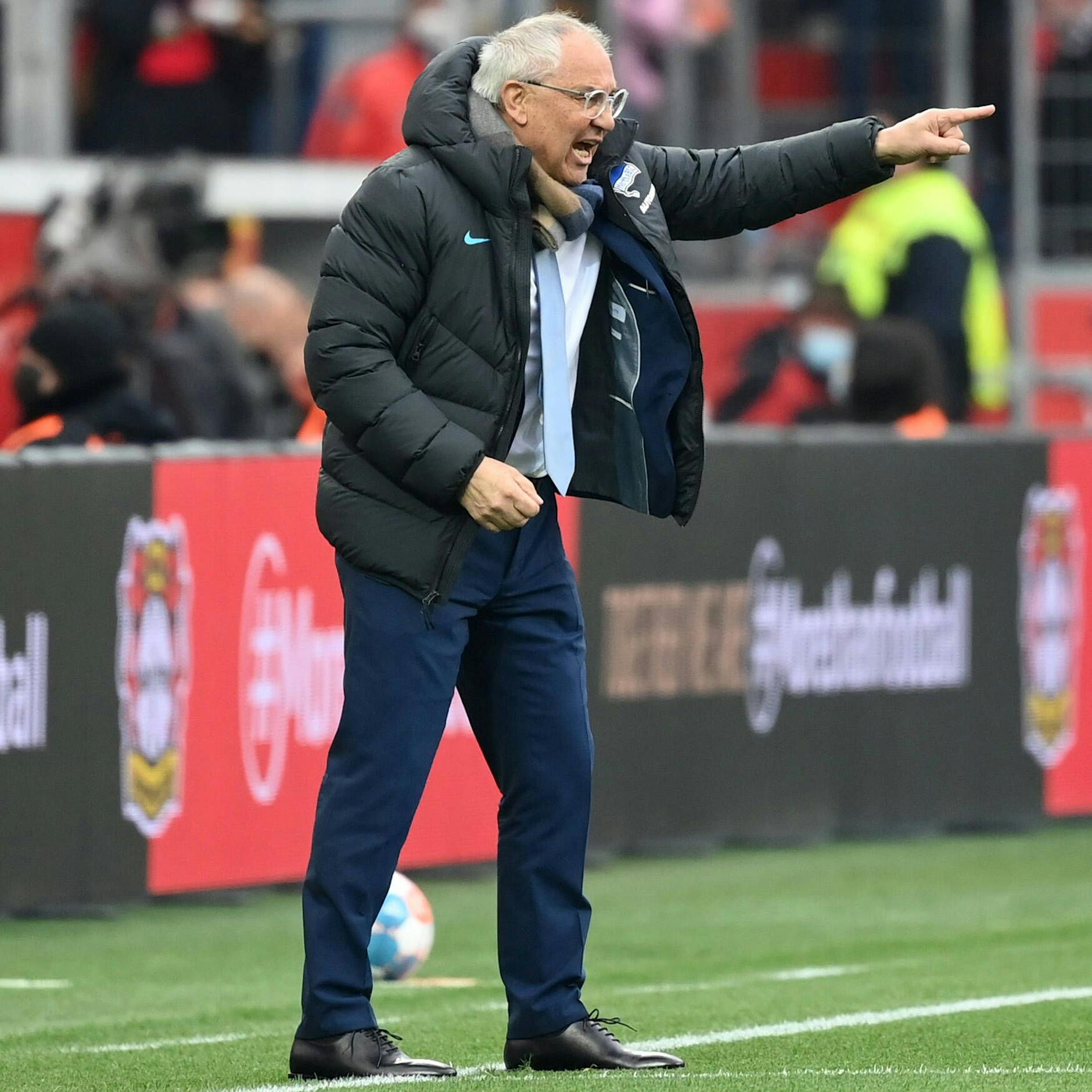 Felix Magath an Hertha-Profis: „Im Derby müsst ihr die Kurve kriegen!“