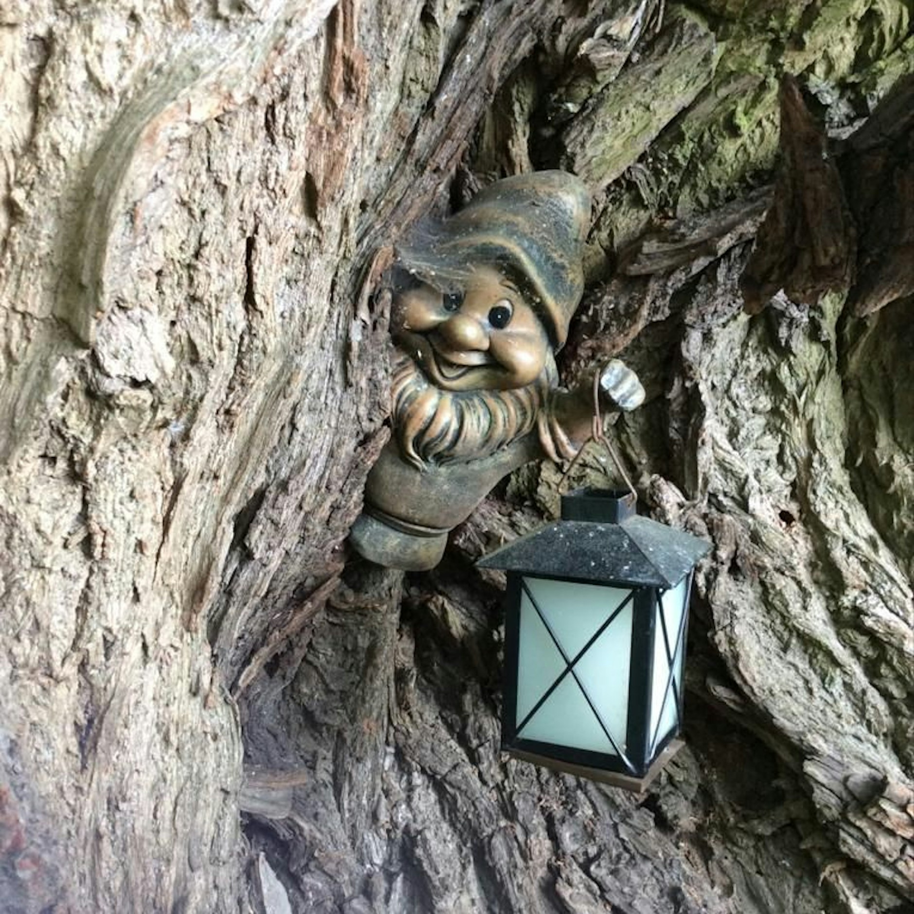 Viele Geocaches sind auch hübsch geschmückt und dekoriert - hier ein besonderes Schätzchen aus dem Berliner Umland. Der Behälter ist eine Filmdose... und befindet sich in der Laterne.