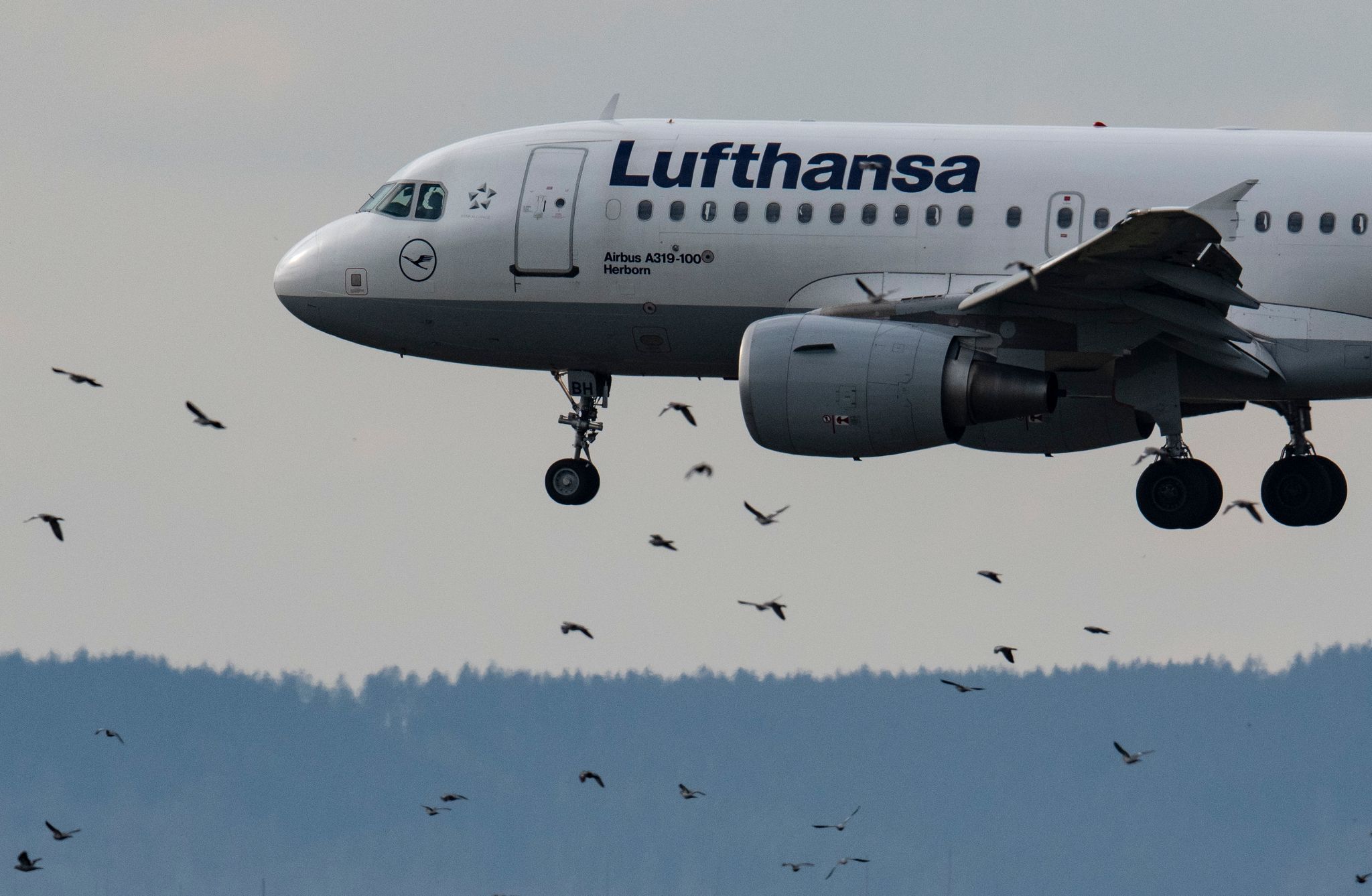 Lufthansa-Chef: Maskenpflicht im Flugzeug könnte im Mai fallen