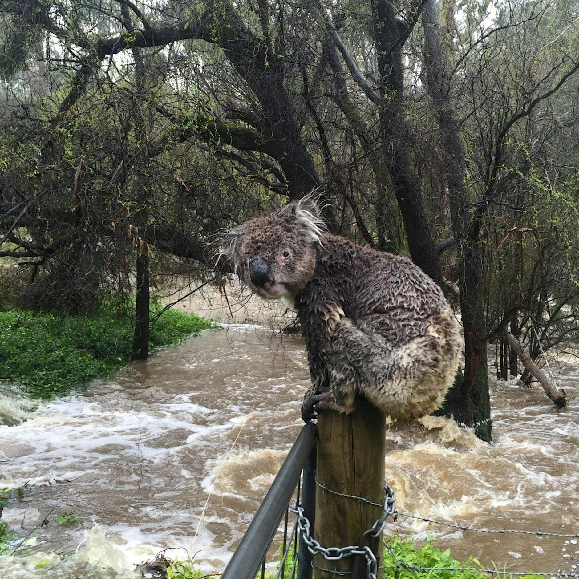 Weltklimarat warnt: Ohne drastische Klimaschutzmaßnahmen schaffen wir es nicht
