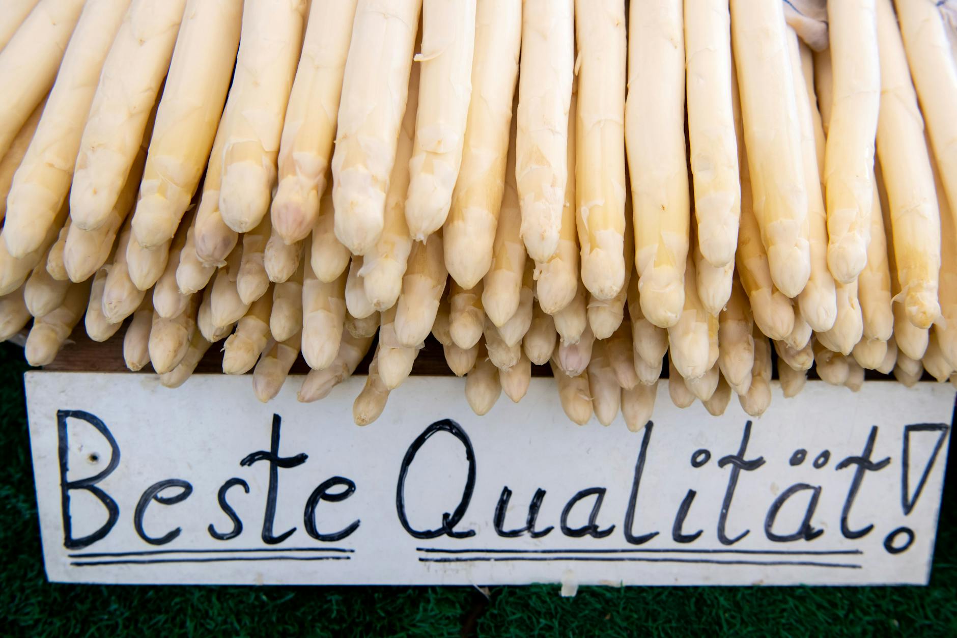 Die Rückkehr der weißen Zauberstäbe