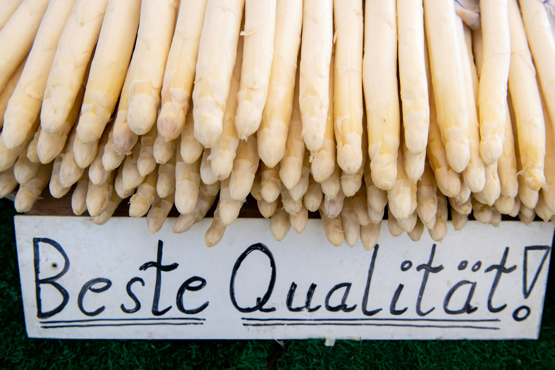 Die Rückkehr der weißen Zauberstäbe