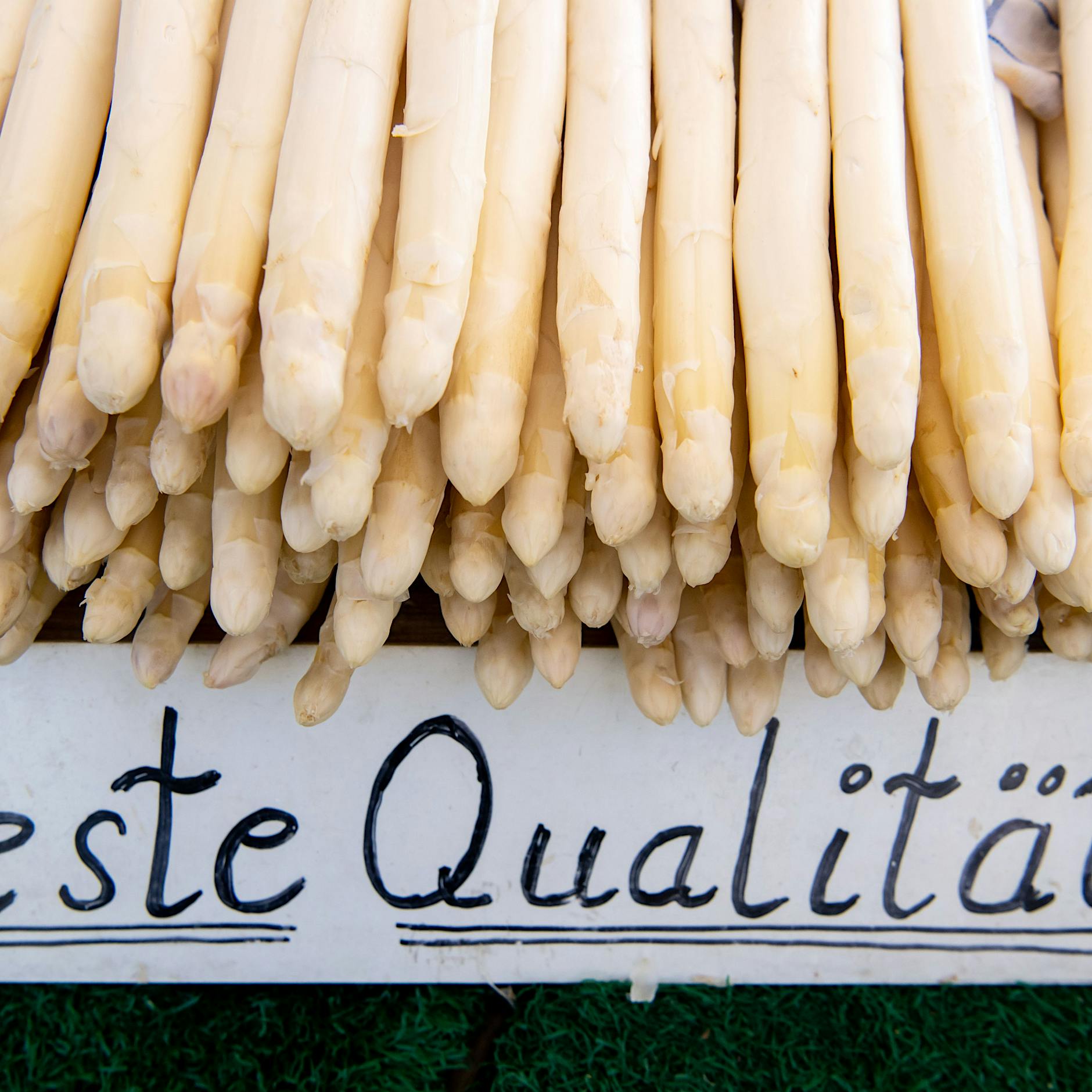 Kurz vor Saisonbeginn: Wieso Umweltschützer Spargel lieber in Lila mögen