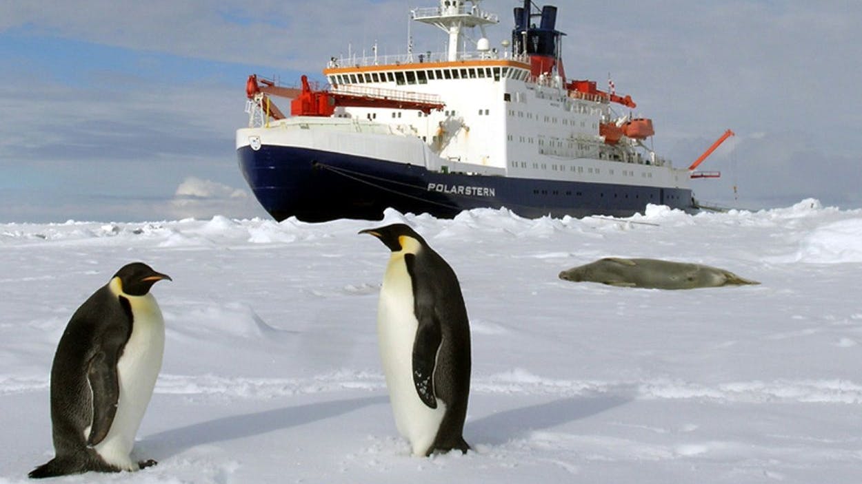 Ein Forschungsschiff fährt durch die Antarktis (Symbolbild).