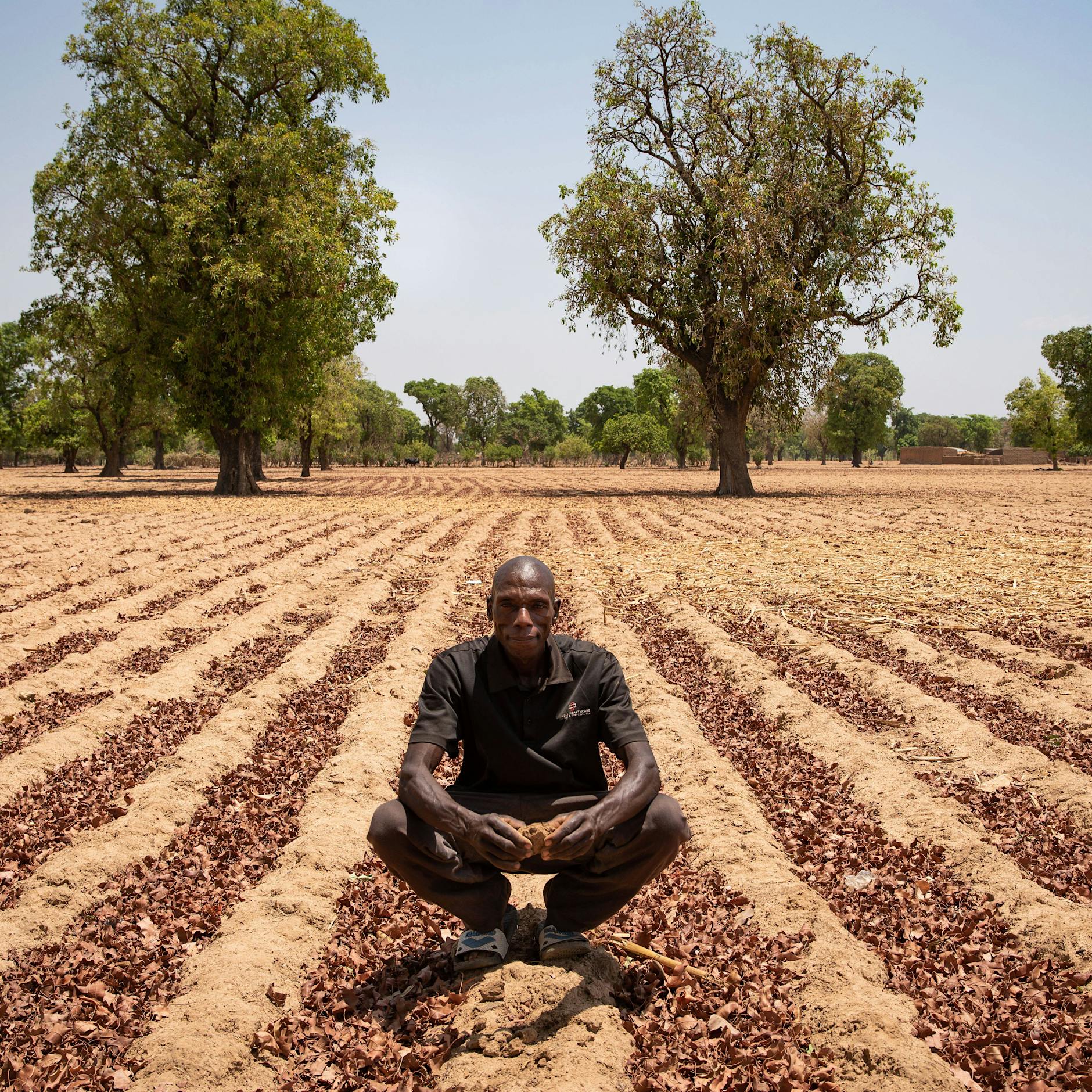 Hilfsorganisationen warnen: Wegen Dürre und Ukraine-Krieg müssen bald 40 Millionen Menschen in Westafrika hungern!