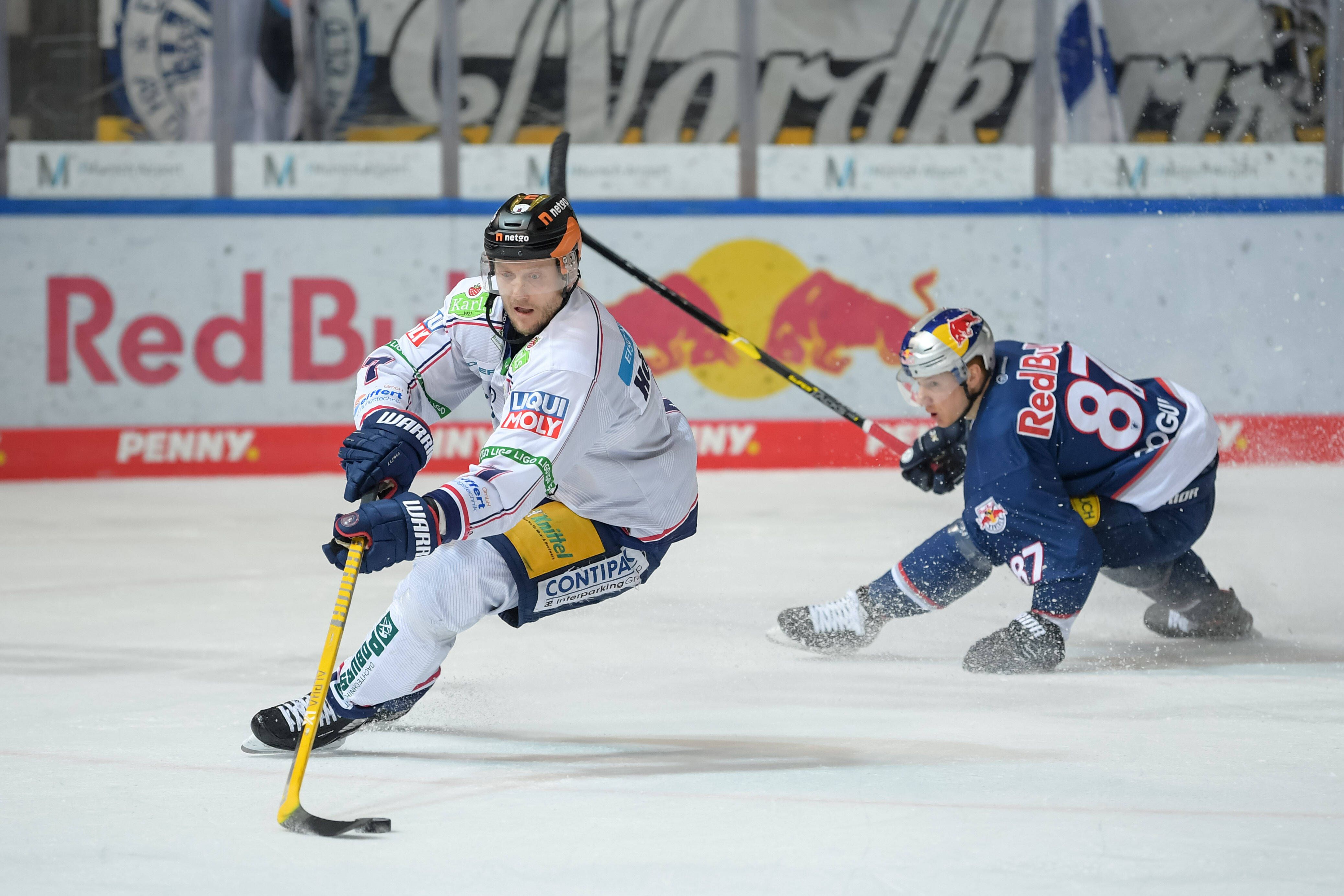 Image - Zum 16. Mal dabei: Eisbär Frank Hördler ist das Play-off-Monster