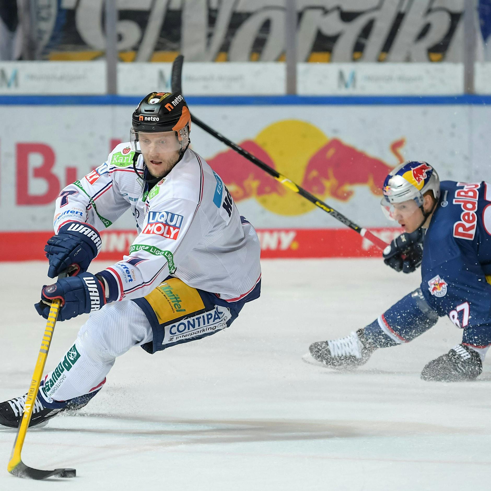Zum 16. Mal dabei: Eisbär Frank Hördler ist das Play-off-Monster