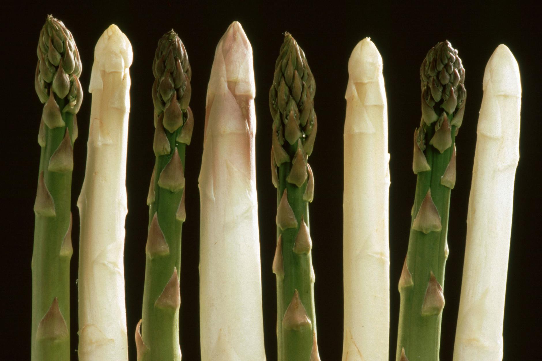 Weißer oder grüner Spargel: Bei vielen Fragen entscheidet der persönliche Geschmack.