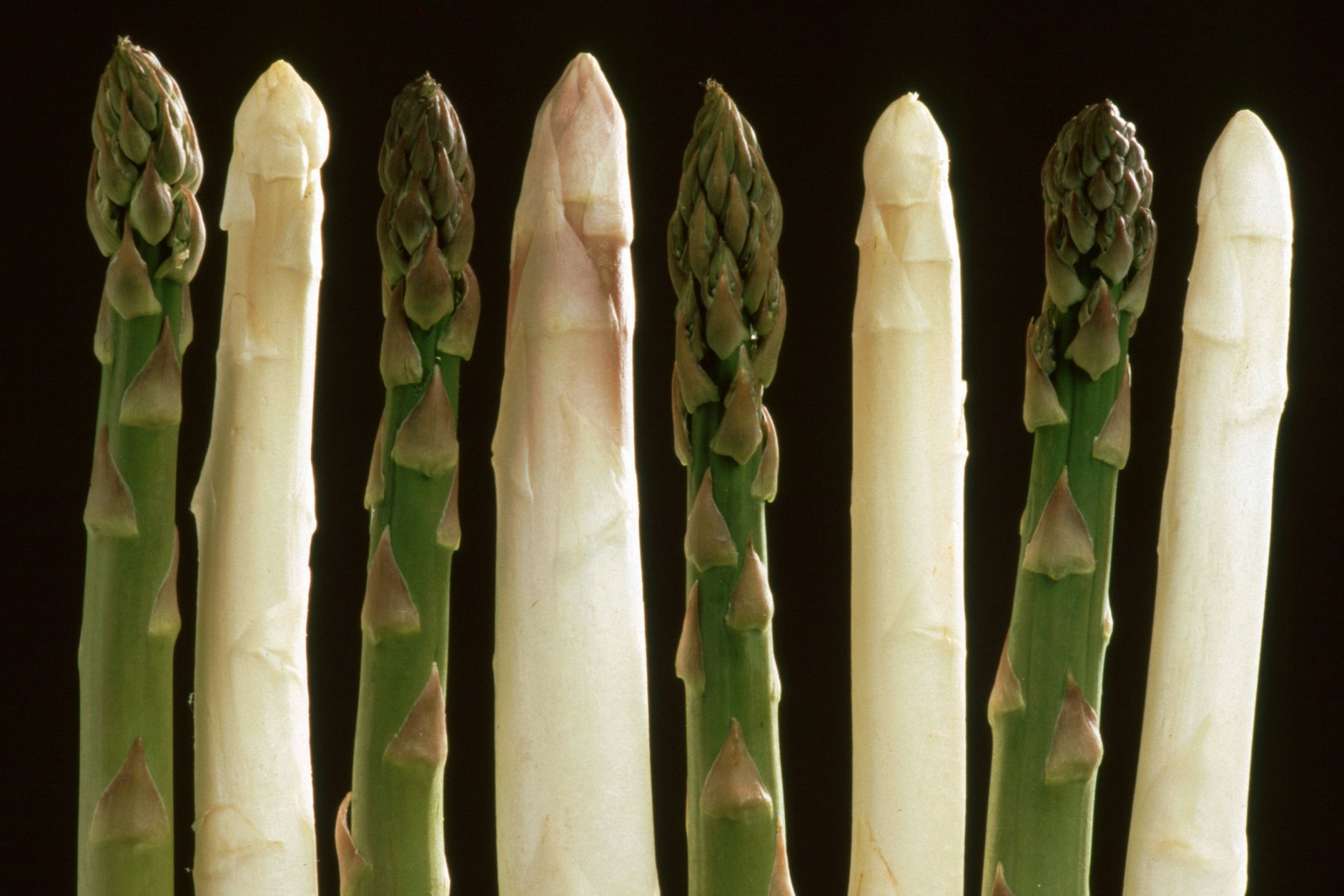 Weißer oder grüner Spargel: Bei vielen Fragen entscheidet der persönliche Geschmack.