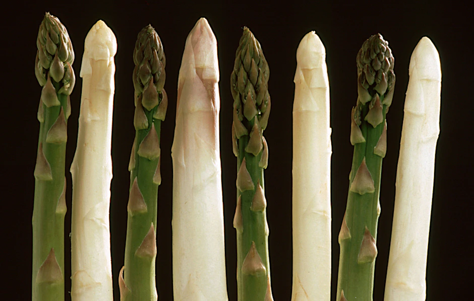 Weißer oder grüner Spargel: Bei vielen Fragen entscheidet der persönliche Geschmack.