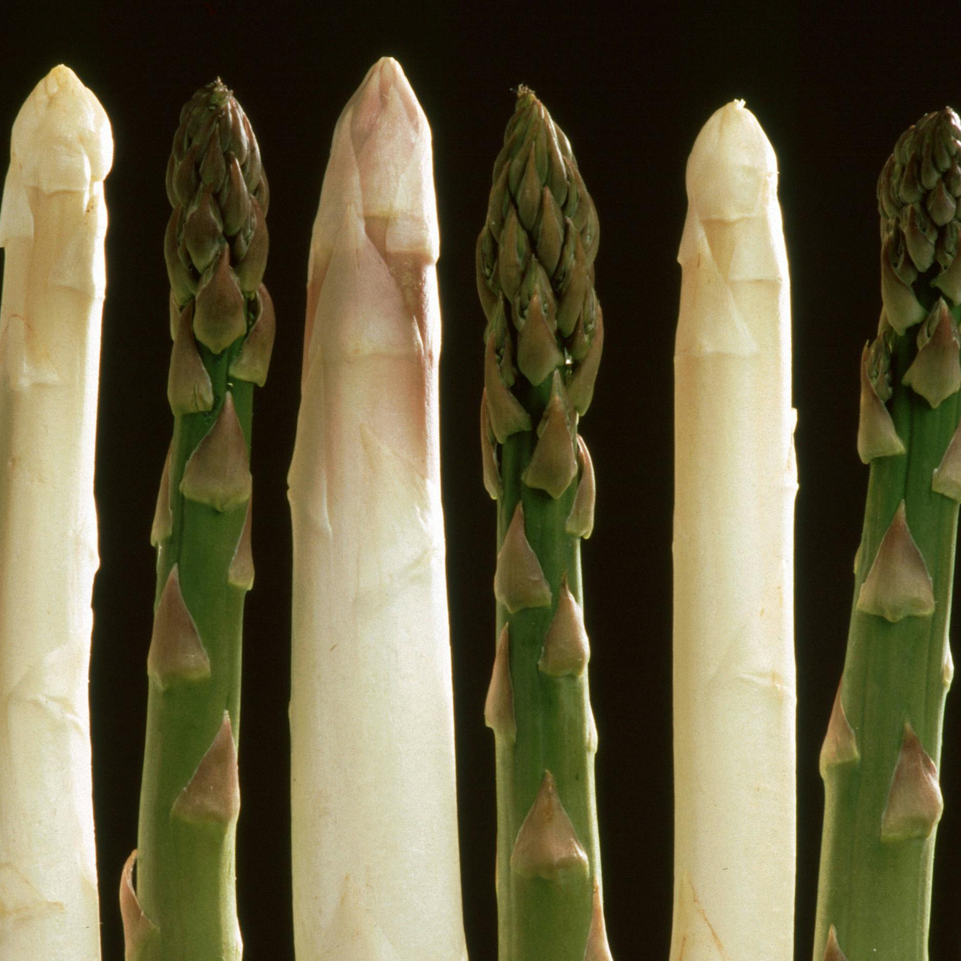 Ist weißer Spargel wirklich der beste? Sechs Mythen auf dem Prüfstand